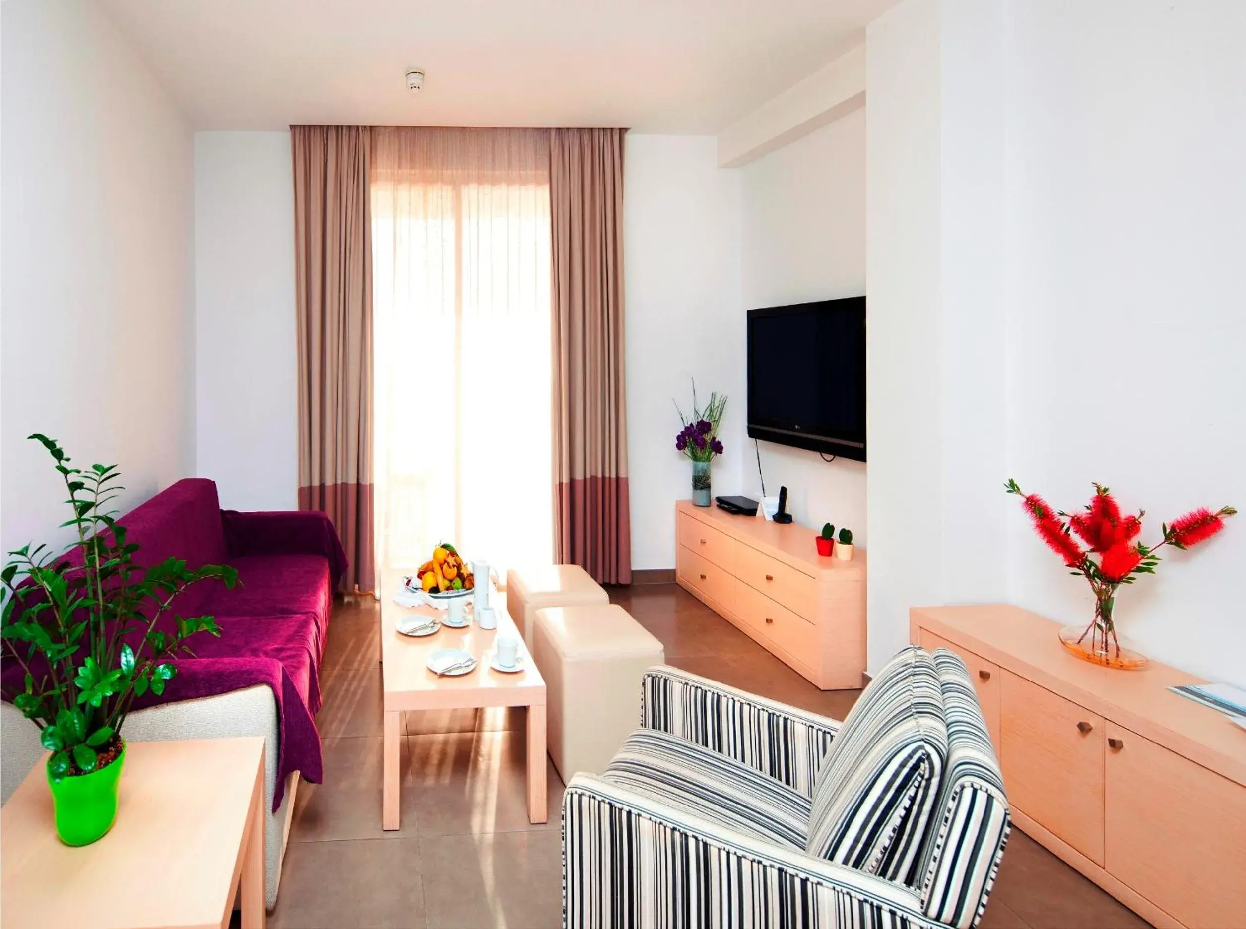 Photo of the whole room in Capital Coast Resort And Spa Photo of the whole room in Capital Coast Resort And Spa
