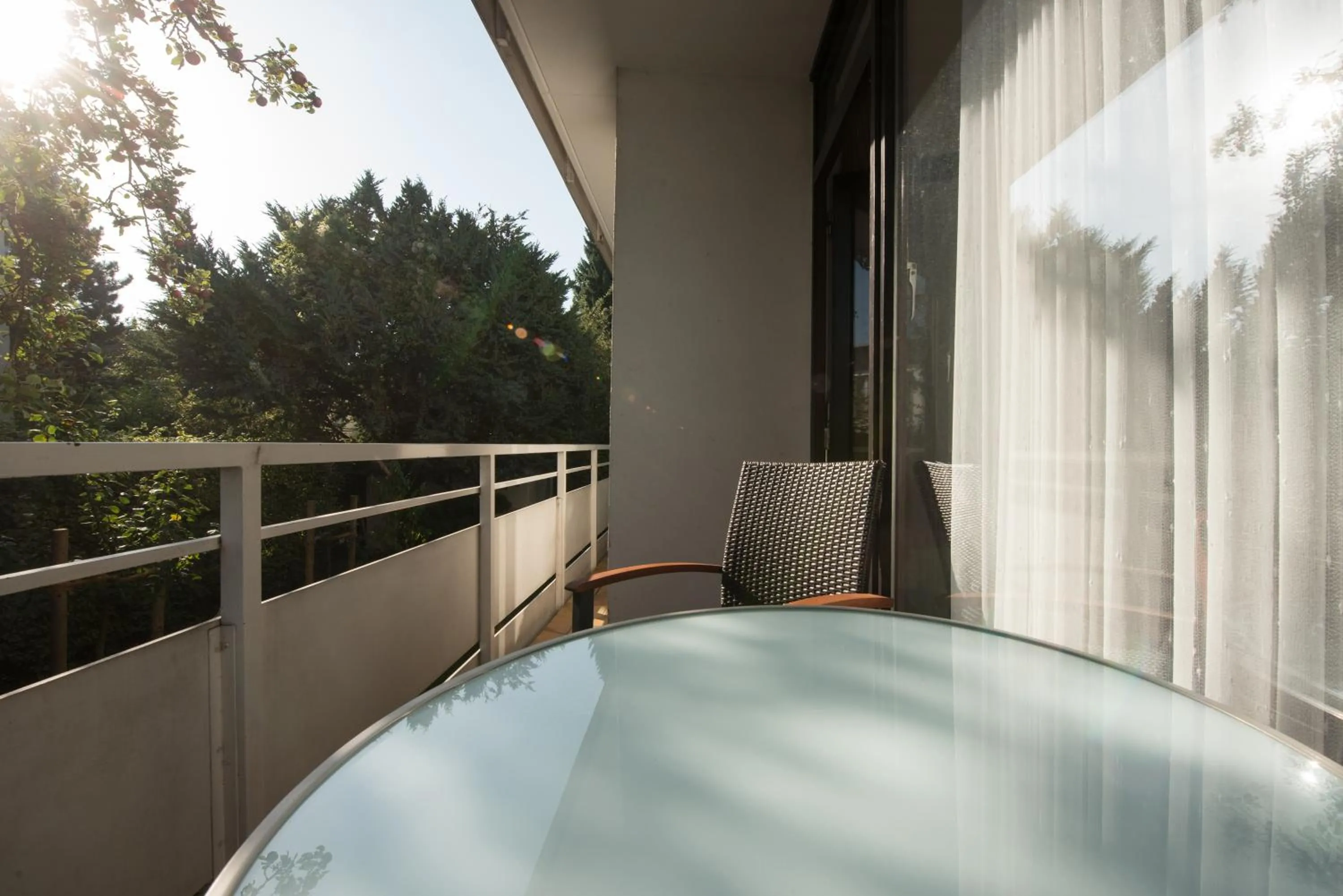 Balcony/Terrace in Hotel Joh