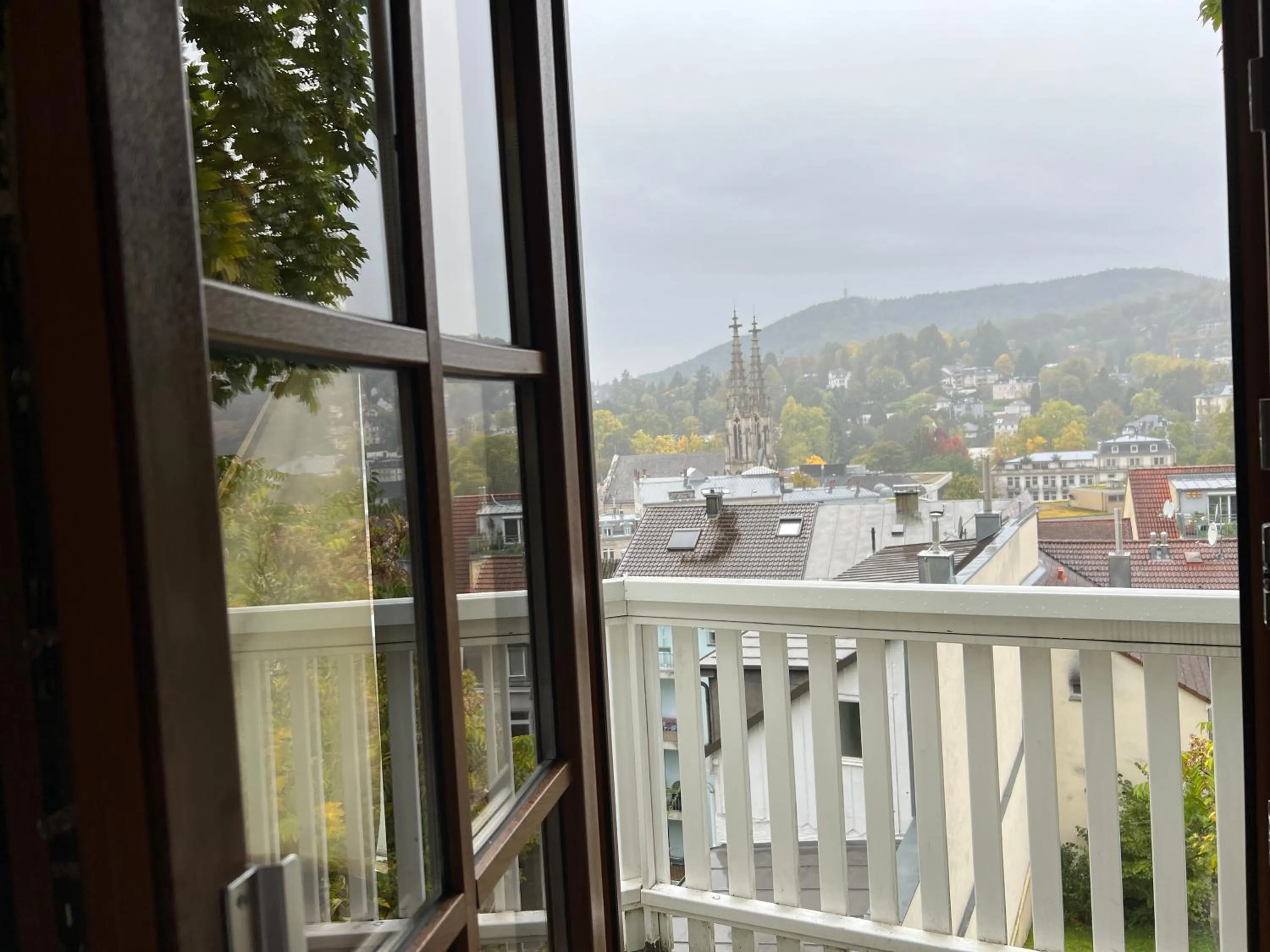 View (from property/room) in Petite Bellevue