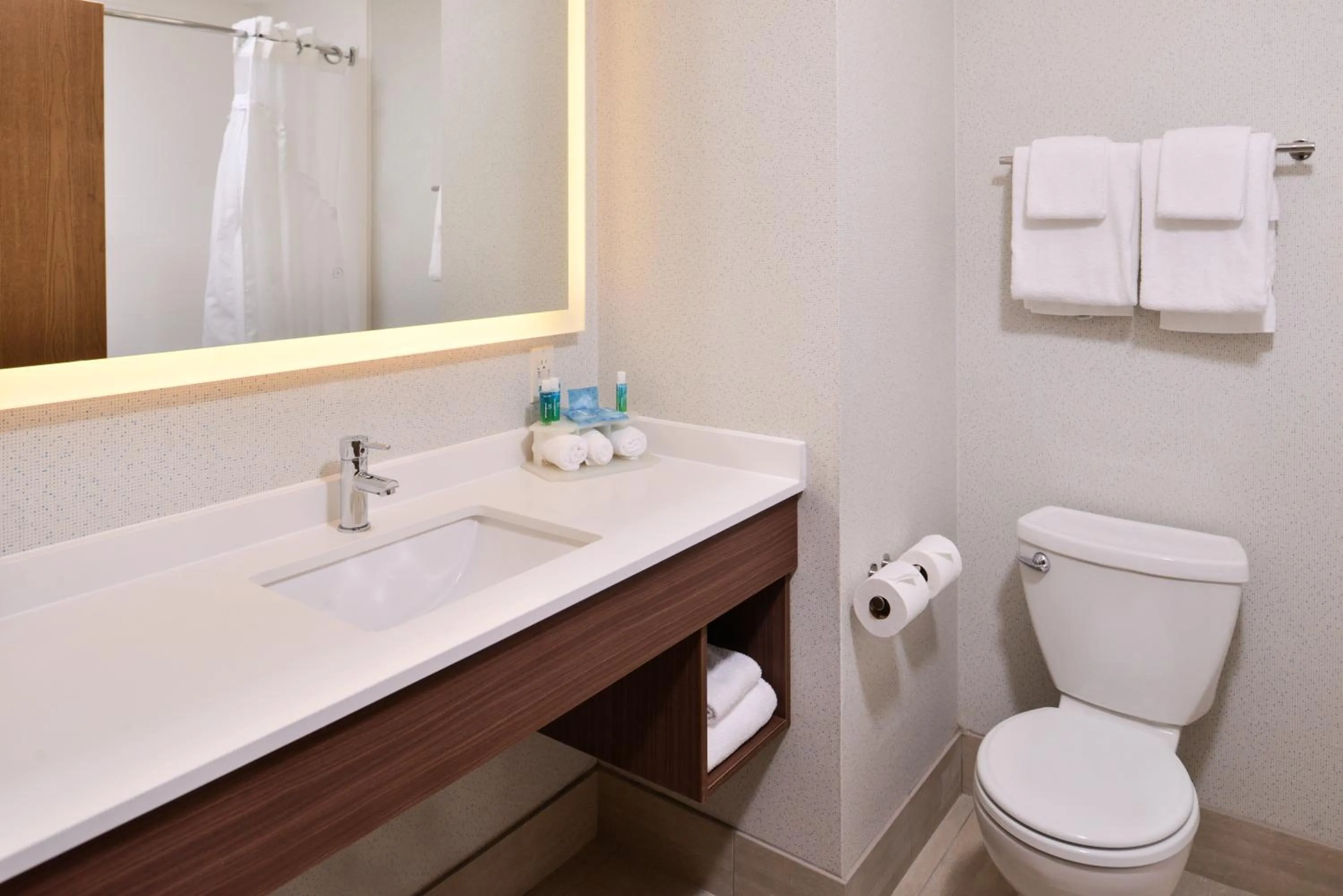 Bathroom in Holiday Inn Express & Suites Lacey - Olympia by IHG