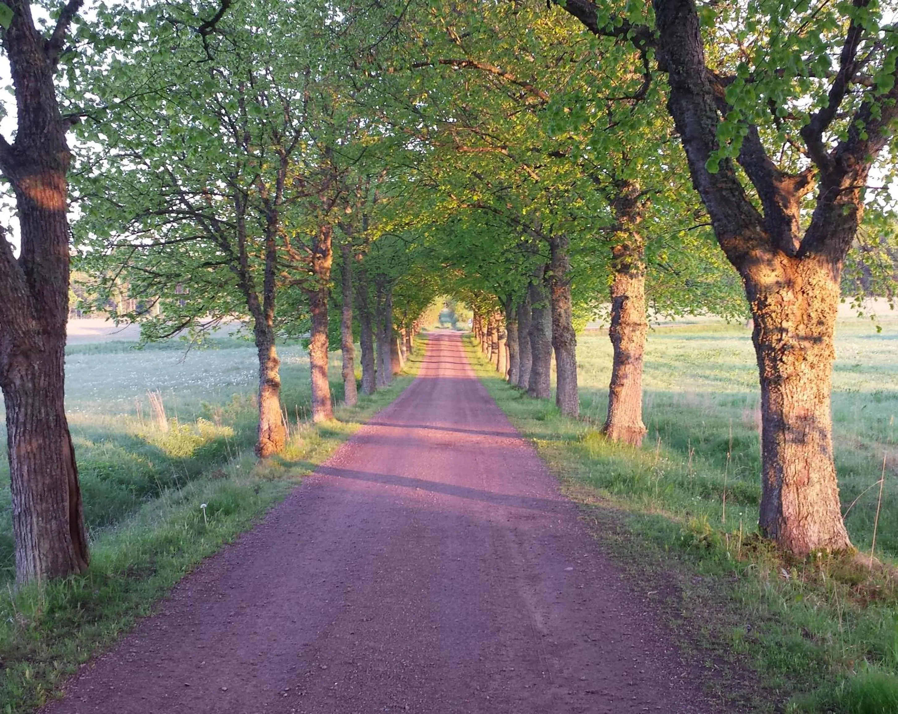 Neighbourhood in Röda Stallet Bed & Breakfast