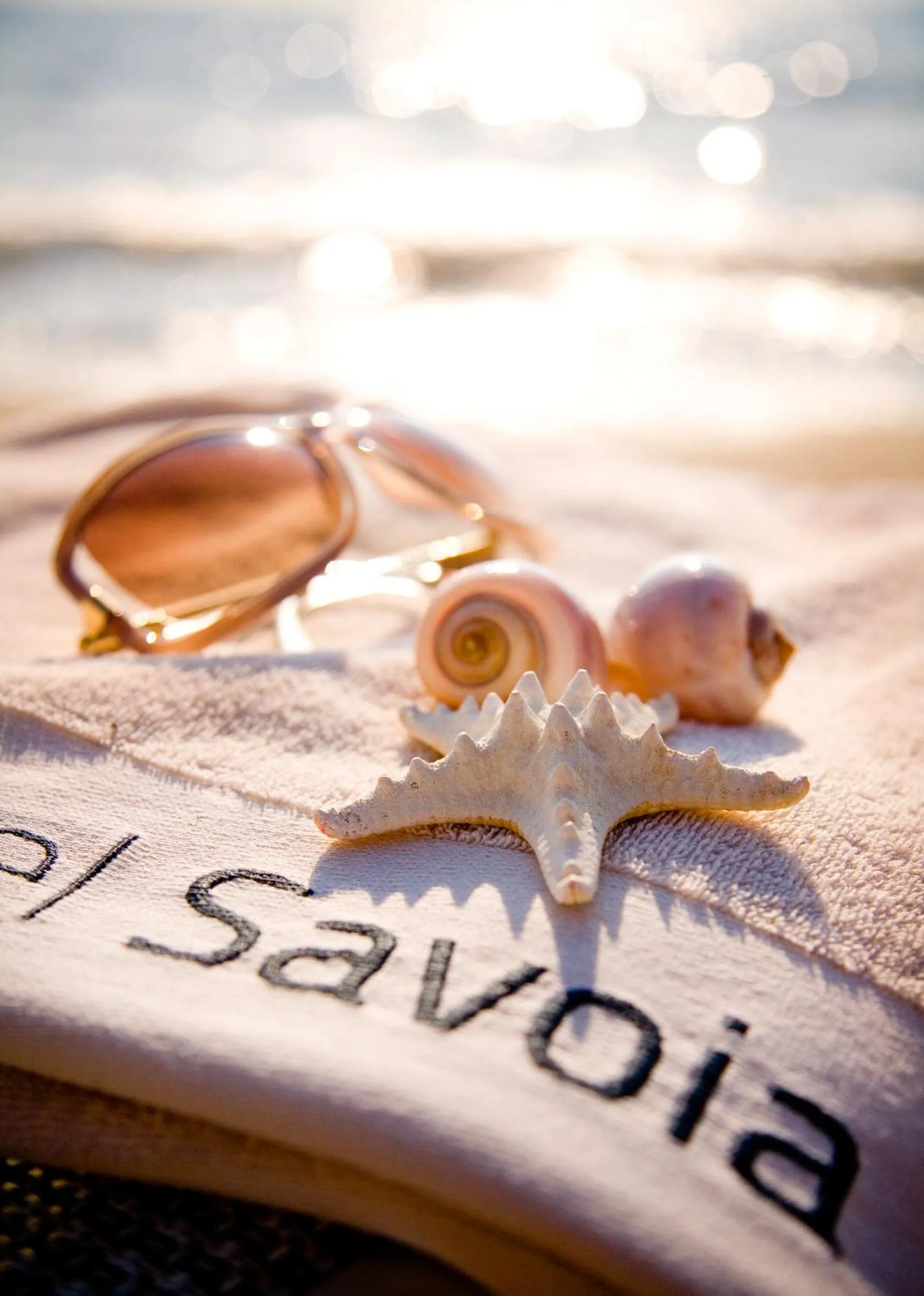 Logo/Certificate/Sign in Hotel Savoia