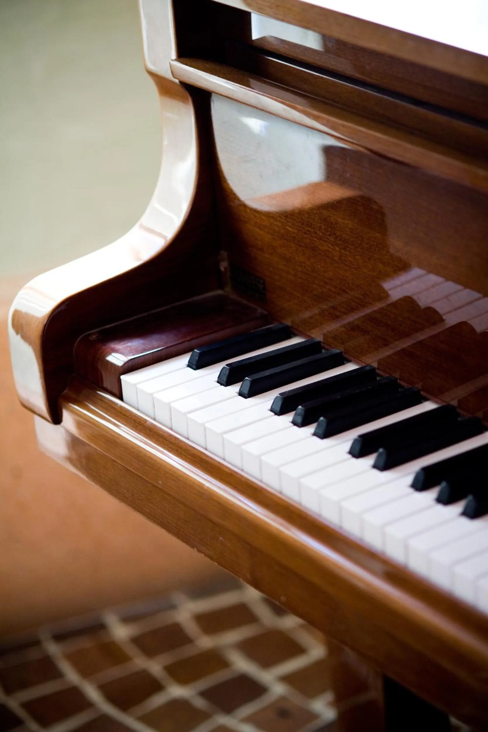 Lounge or bar in Hotel Savoia