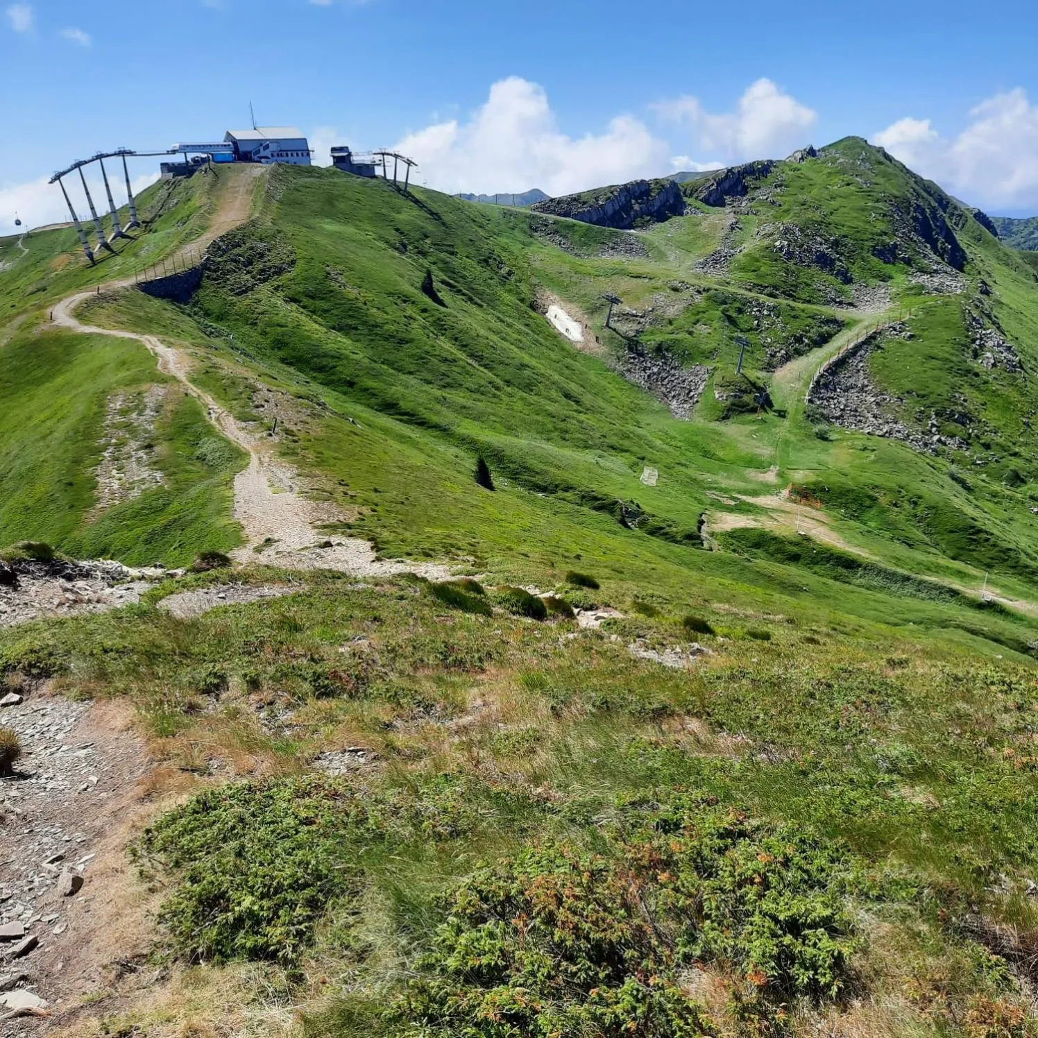 Summer in Hotel Bellavista