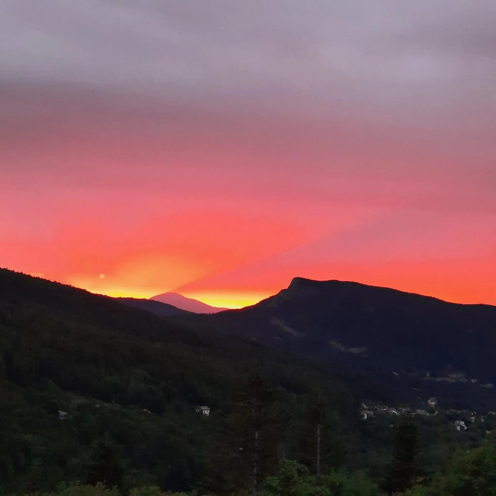 Natural landscape in Hotel Bellavista