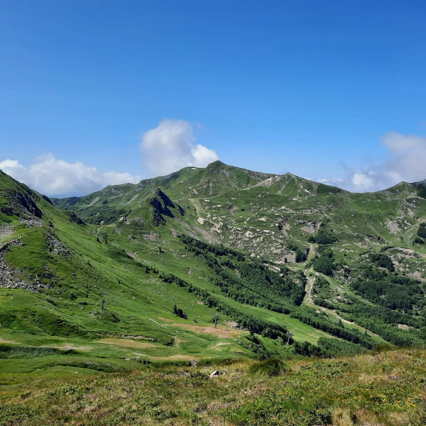 Summer in Hotel Bellavista