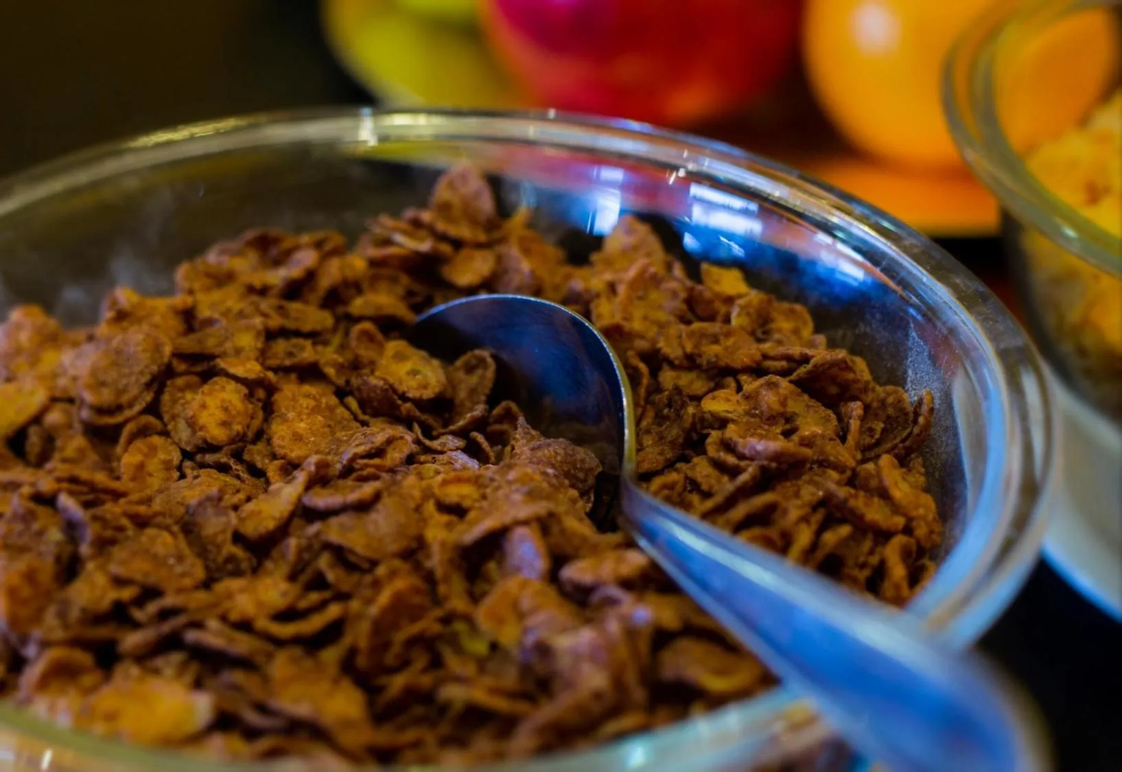 Terraza Coirones Hotel