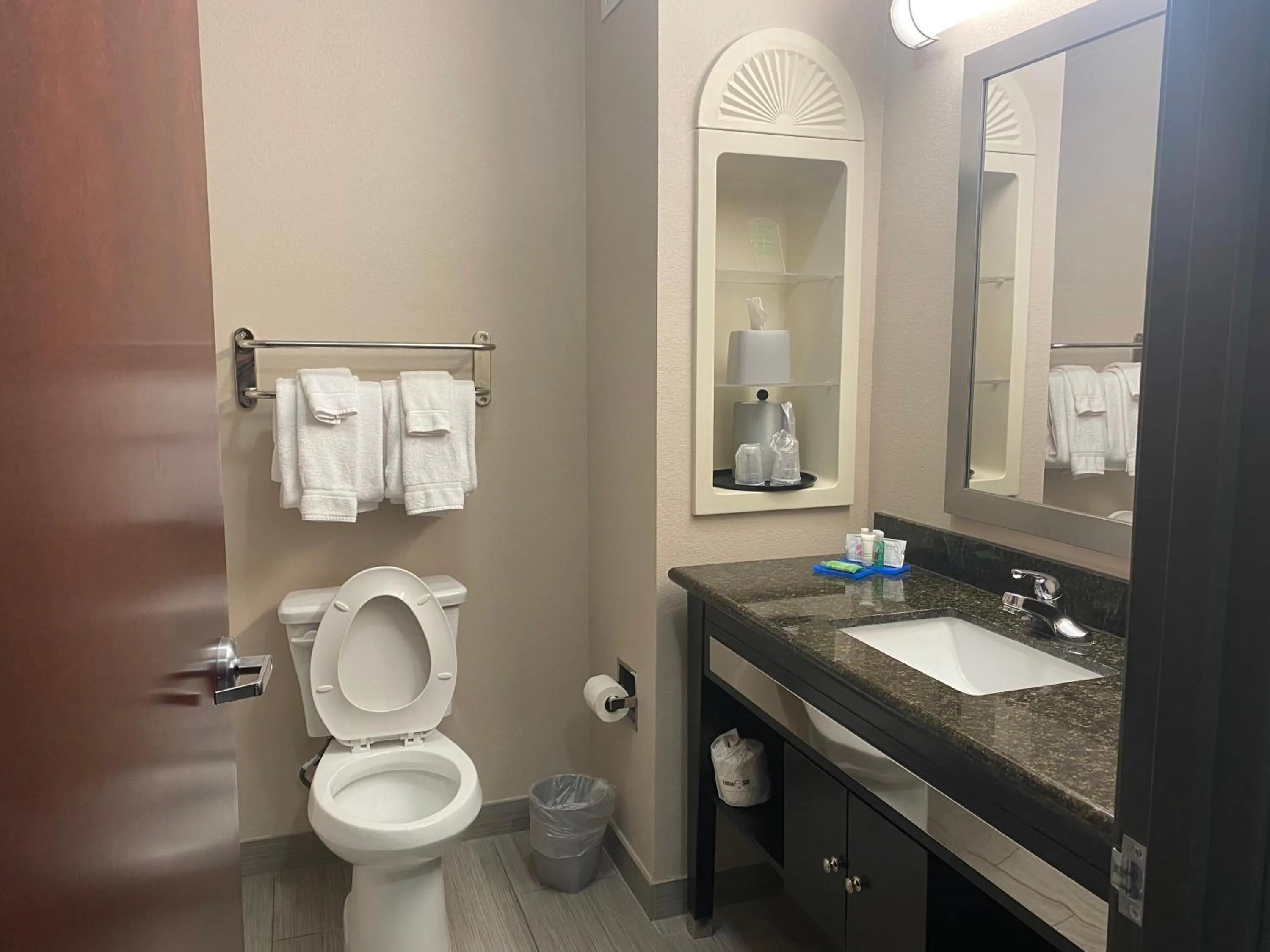Bathroom in Holiday Inn Express Hotel and Suites Fort Stockton by IHG