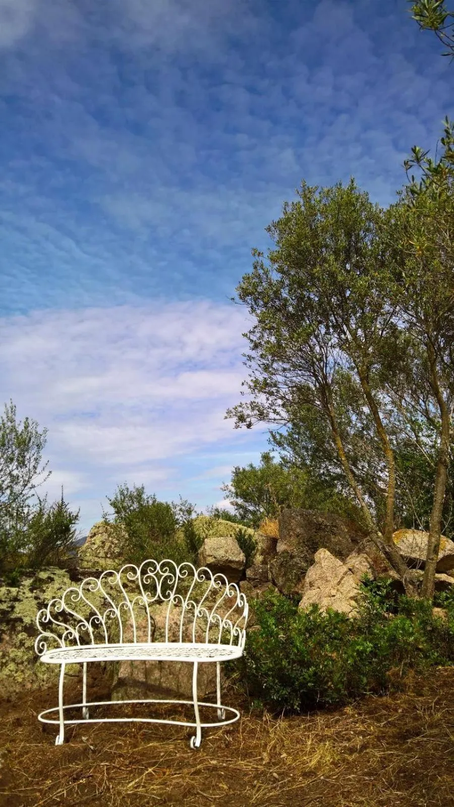 Garden in Nacchinono