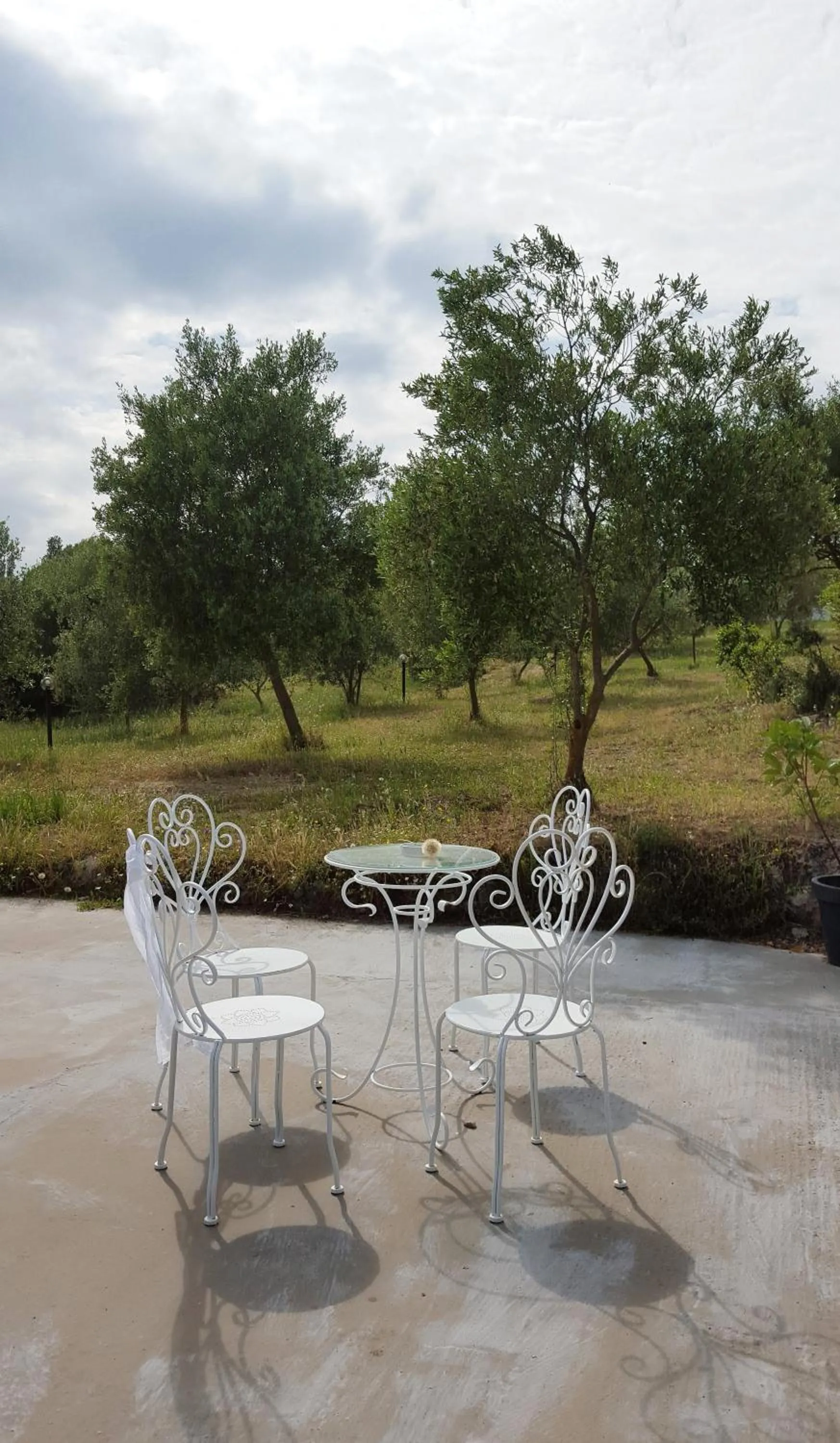 Natural landscape in Nacchinono