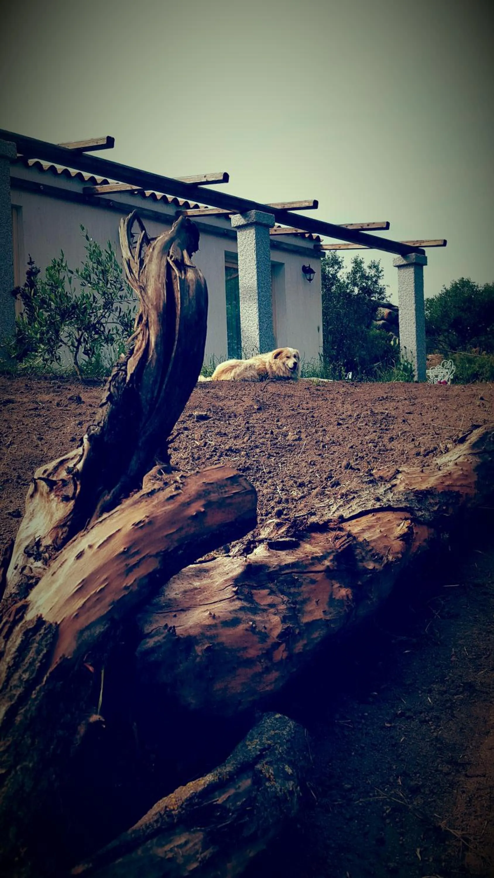 Facade/entrance in Nacchinono