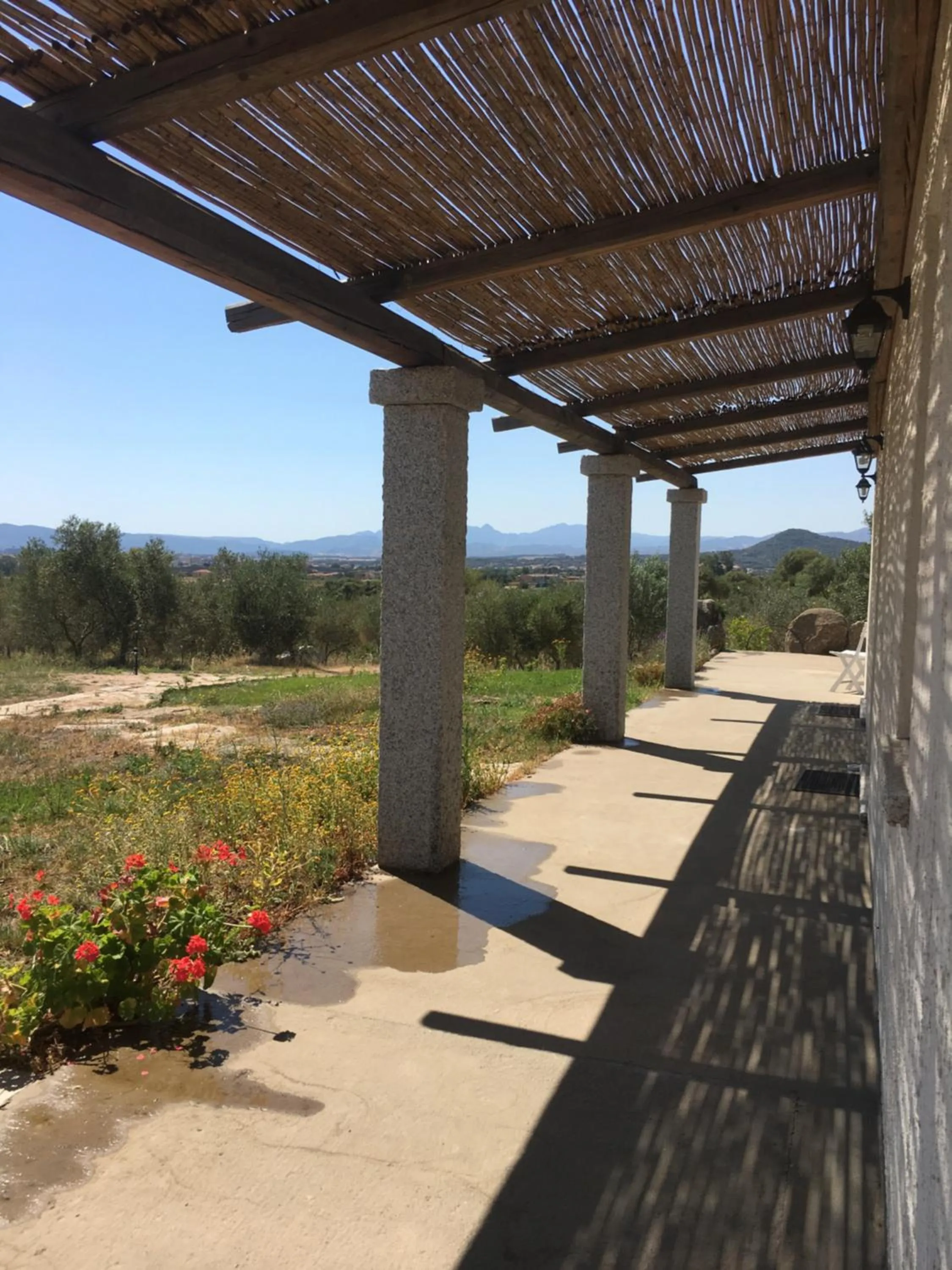 Garden in Nacchinono