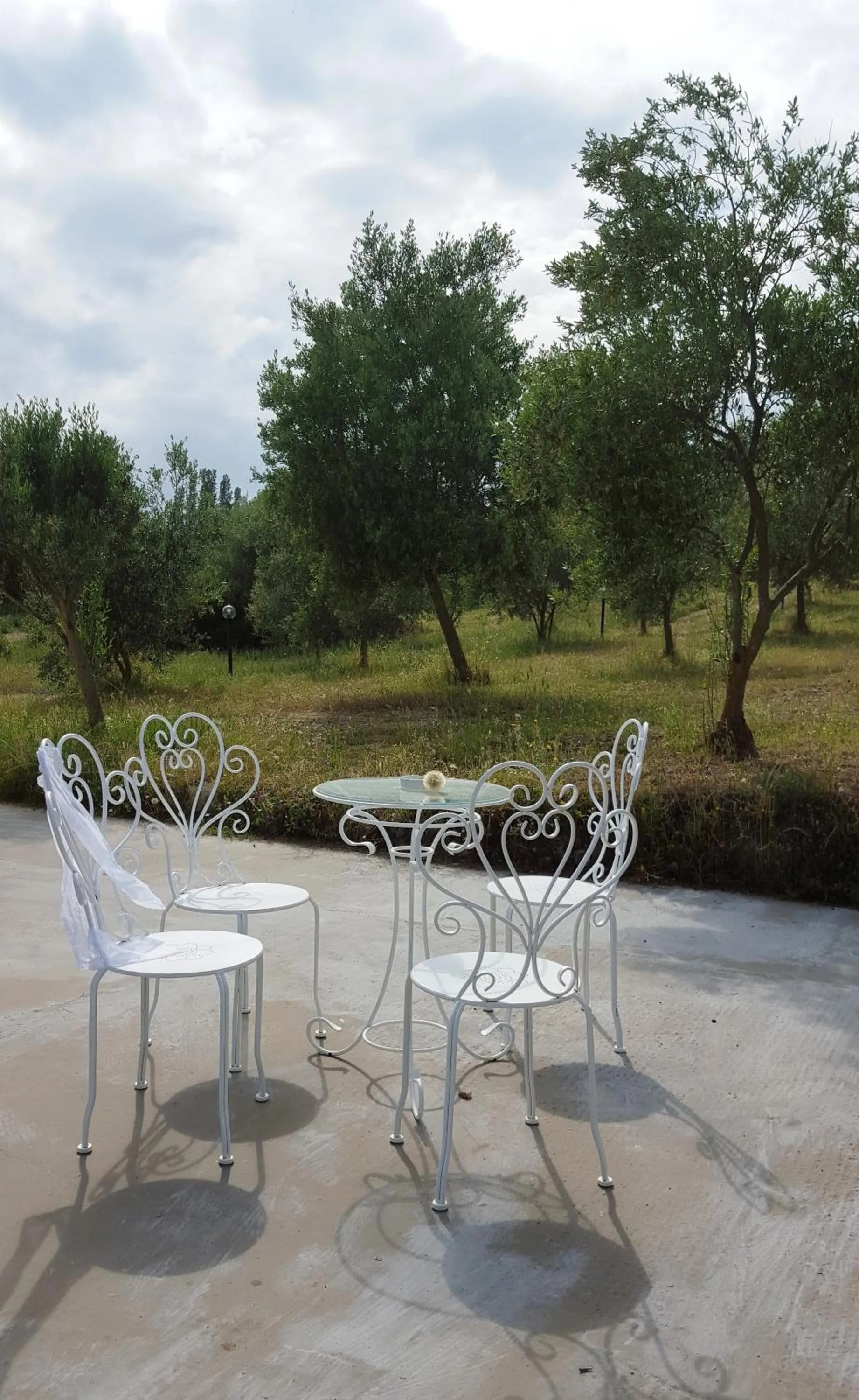 Balcony/Terrace in Nacchinono