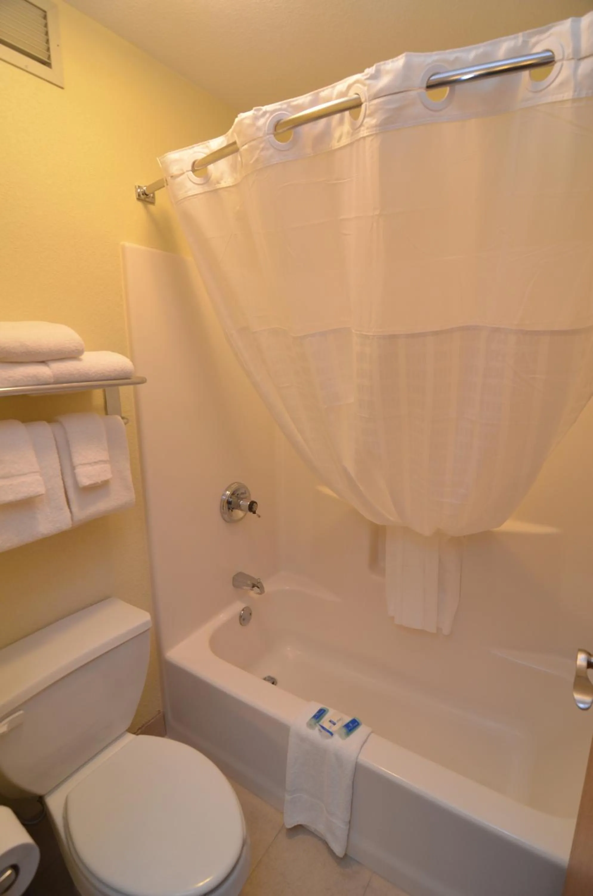 Bathroom in AmericInn by Wyndham Mount Pleasant