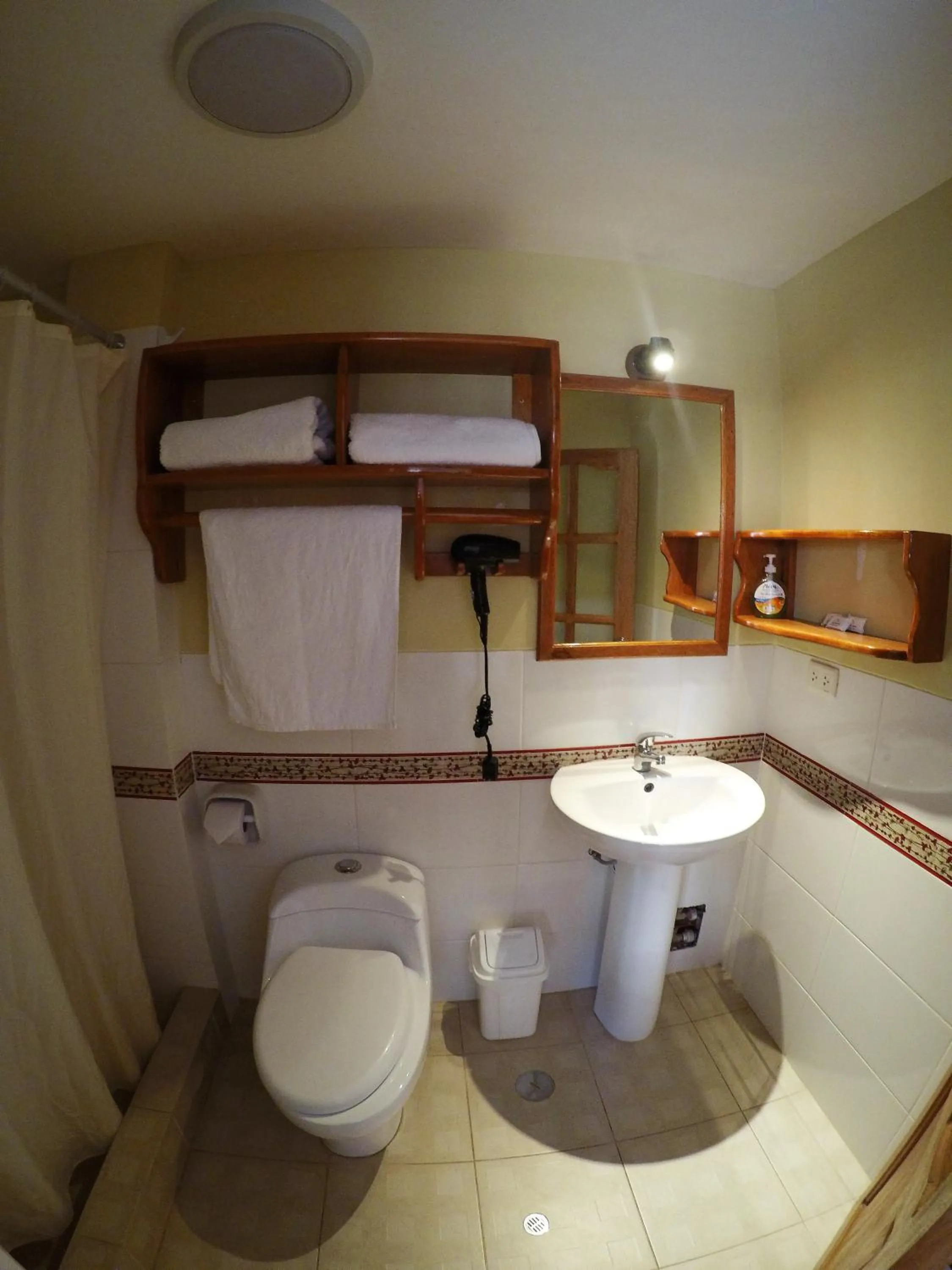 Shower in Parwa Guest House