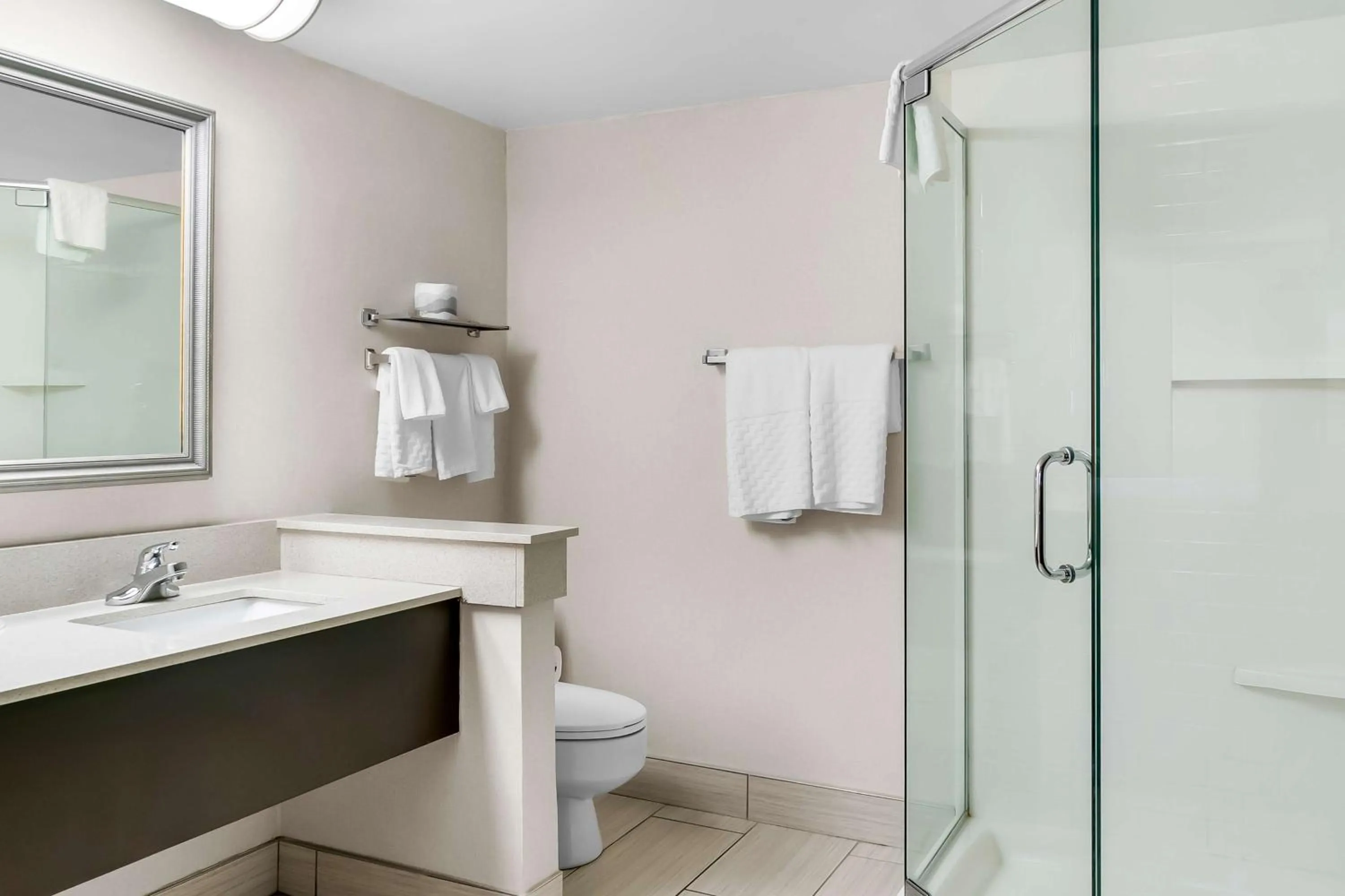 Bathroom in Best Western Okemos/East Lansing Hotel & Suites