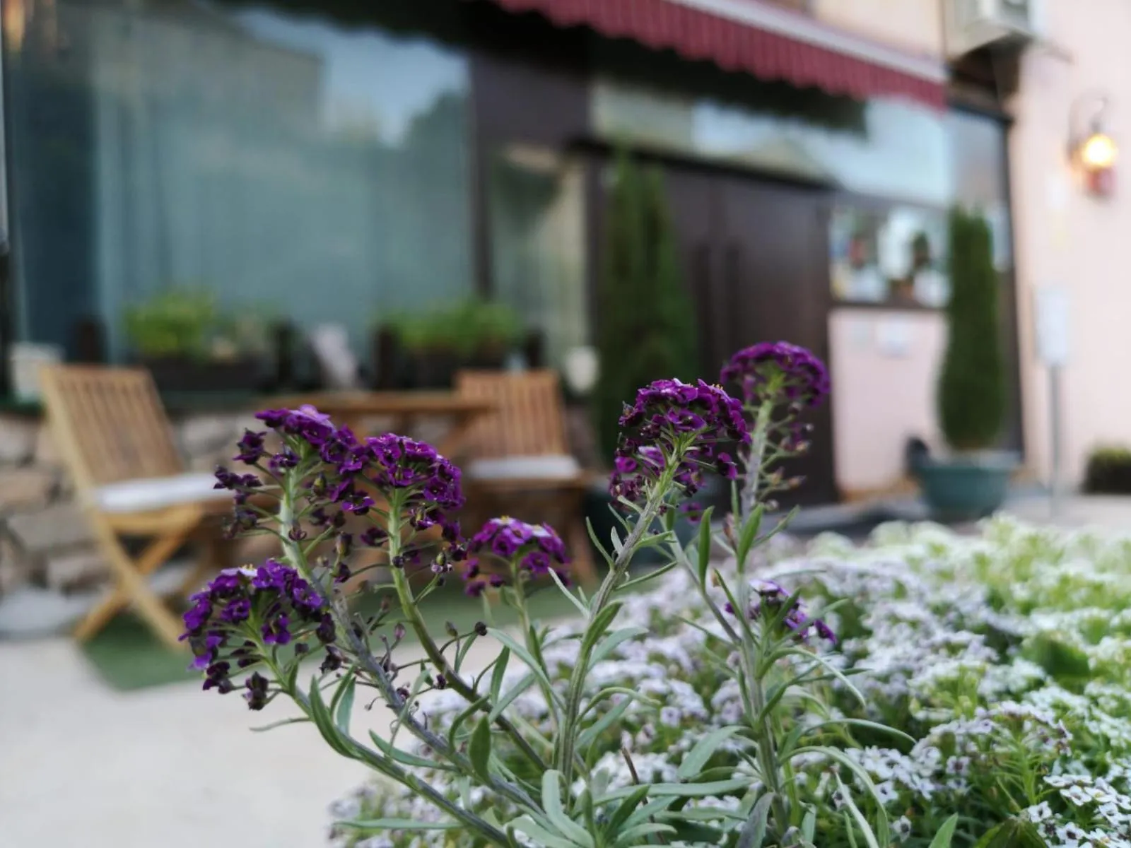 Quiet street view in Hotel Cardamomo Sigüenza