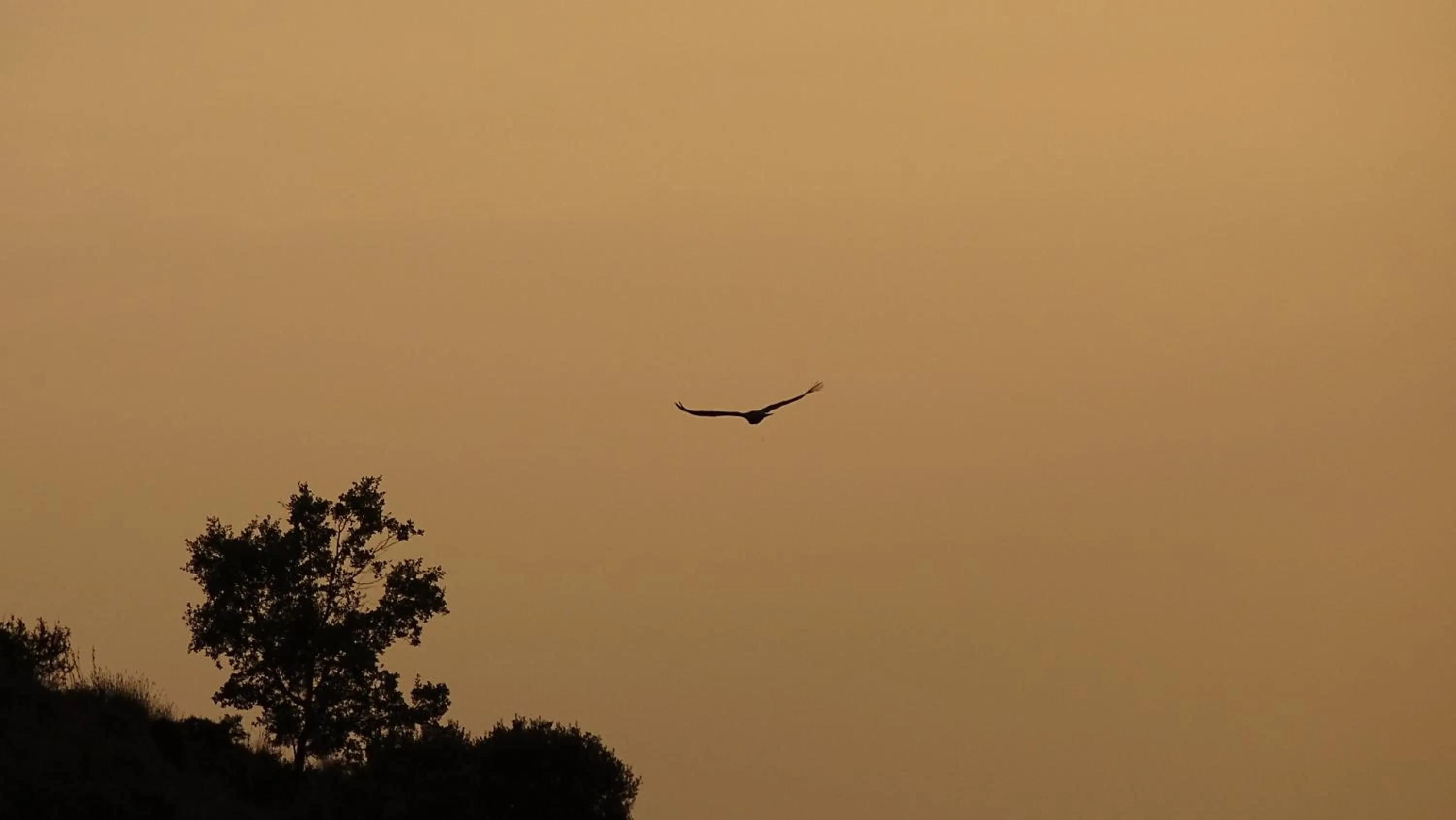 Property building in Hotel Cardamomo Sigüenza