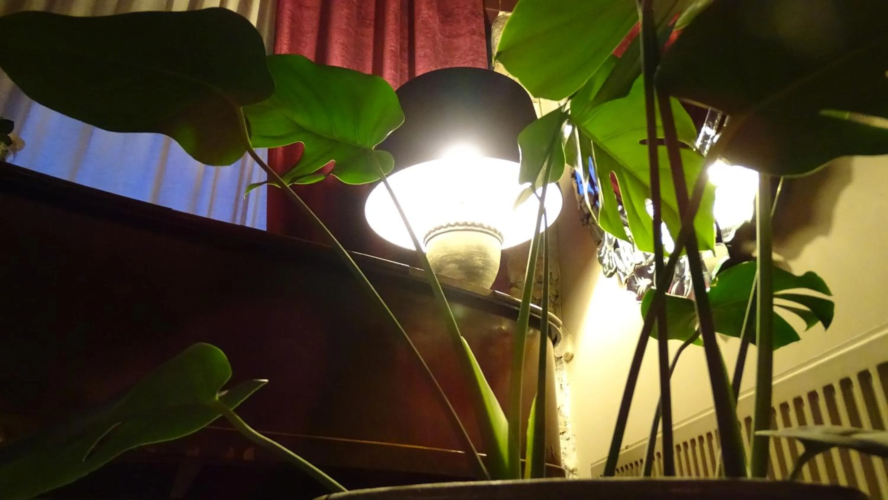 Property building in Hotel Cardamomo Sigüenza