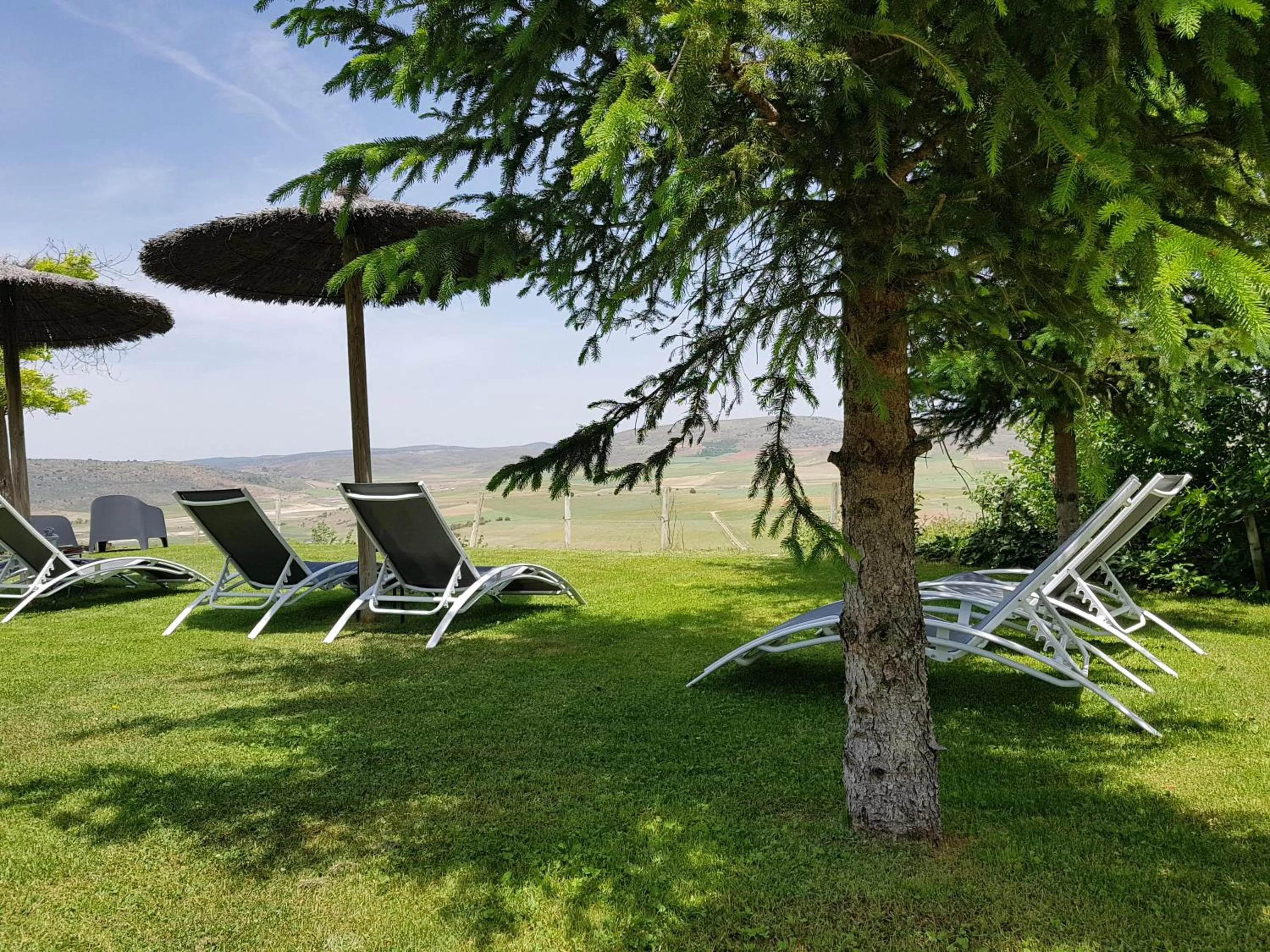Garden in Hotel Cardamomo Sigüenza