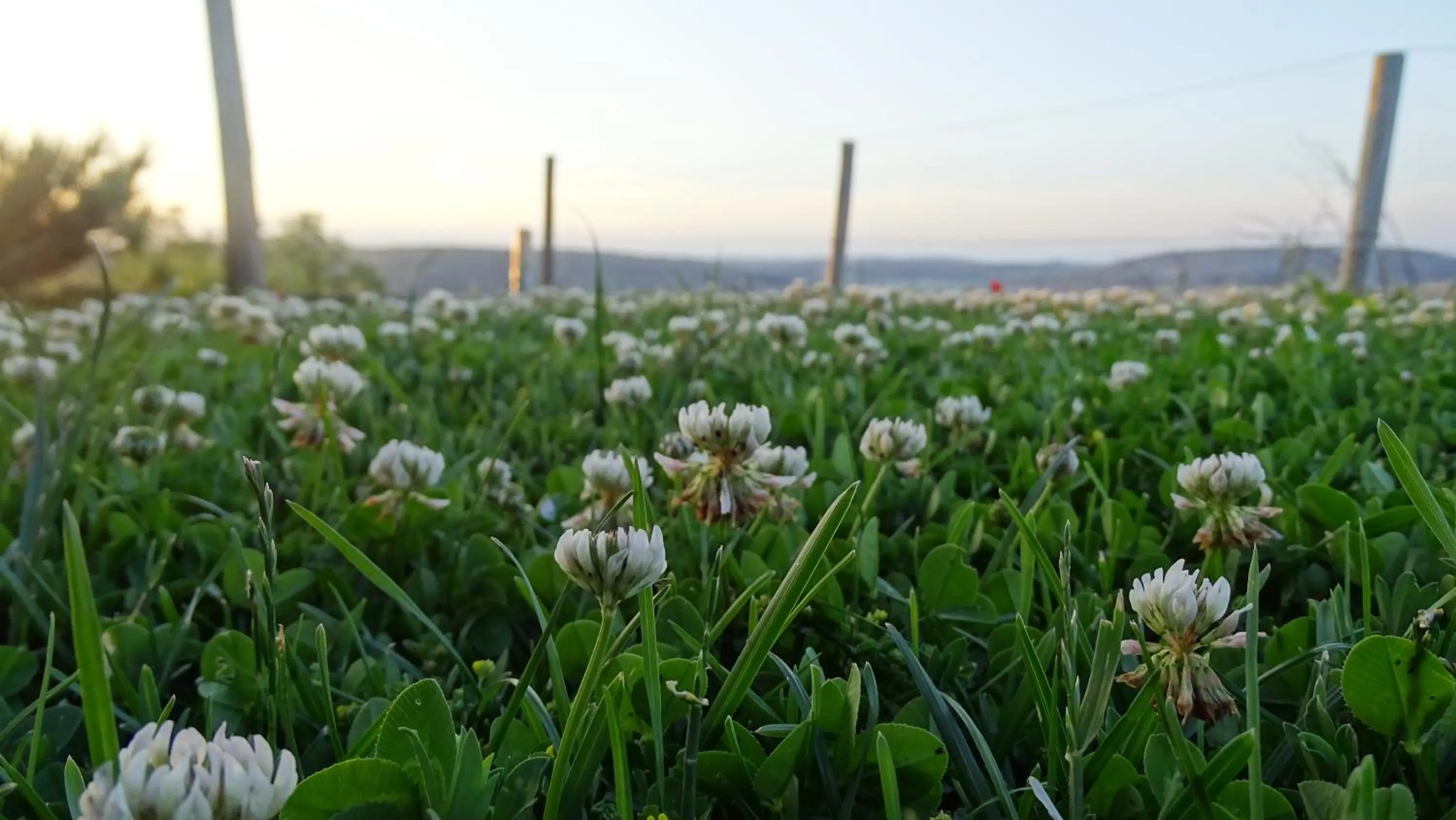 Property building in Hotel Cardamomo Sigüenza