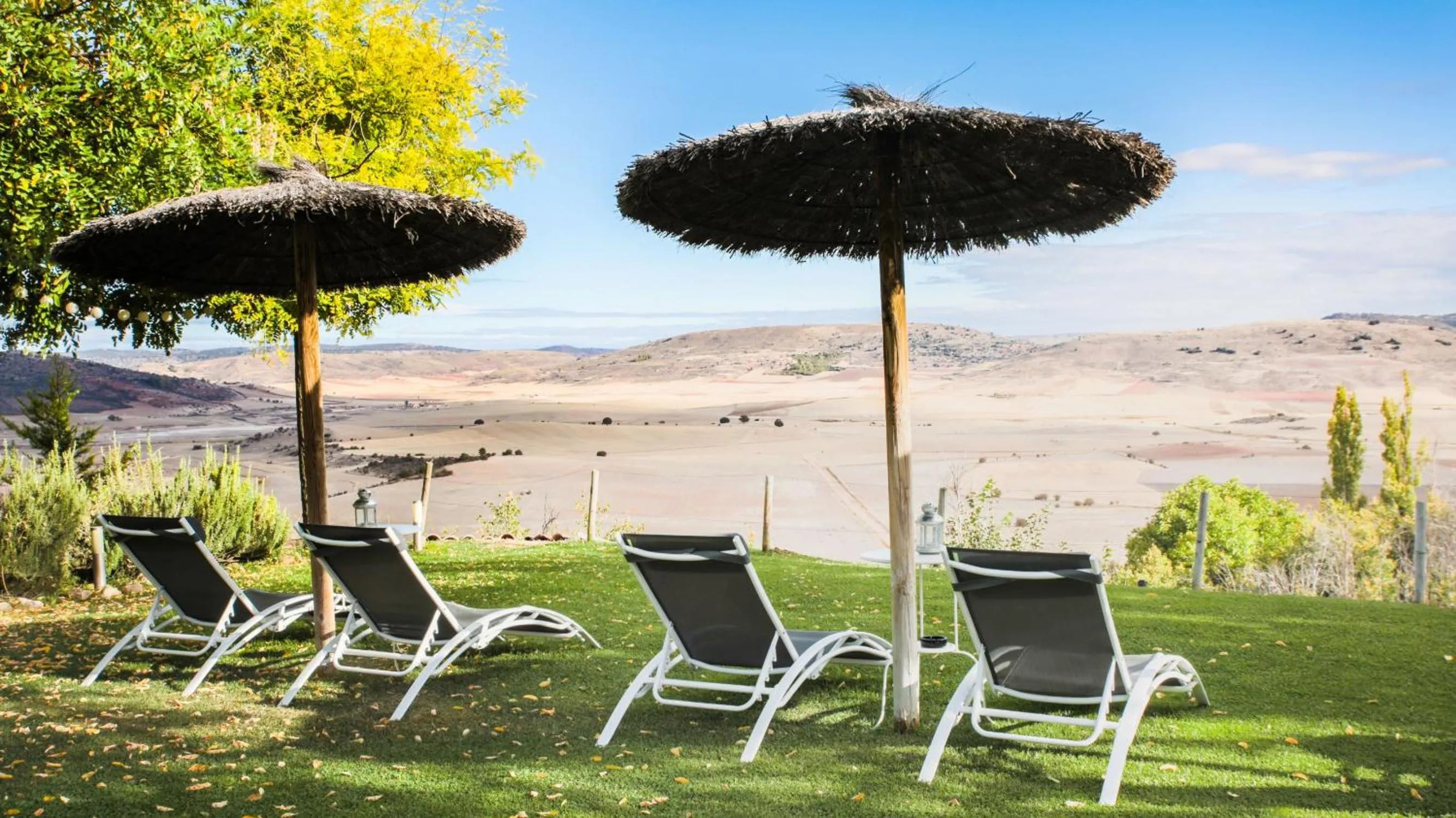 Garden in Hotel Cardamomo Sigüenza