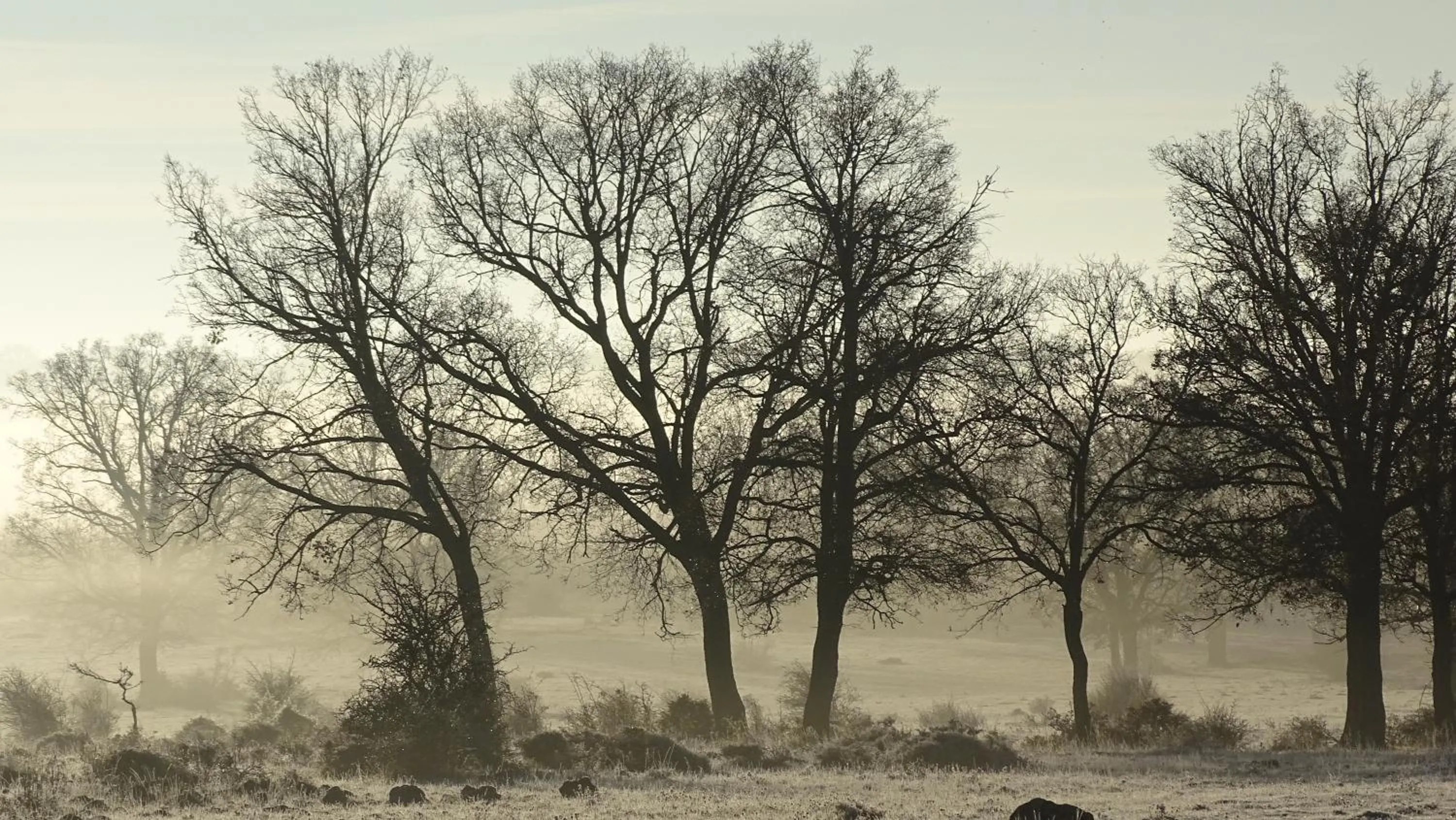 Property building in Hotel Cardamomo Sigüenza