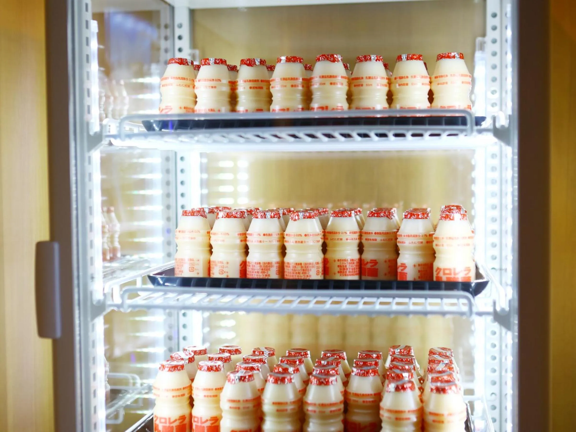 Other in Onyado Nono Toyama Natural Hot Spring