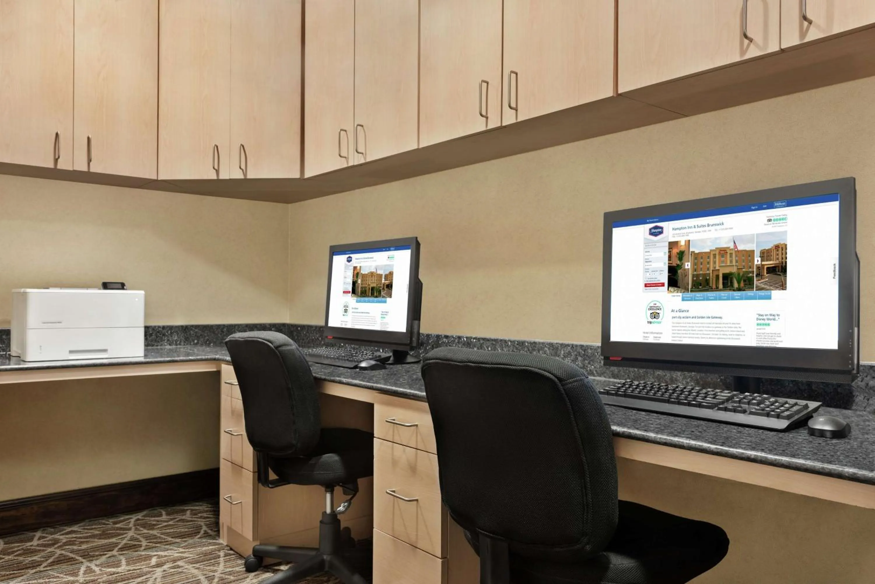 Business facilities in Hampton Inn & Suites Brunswick