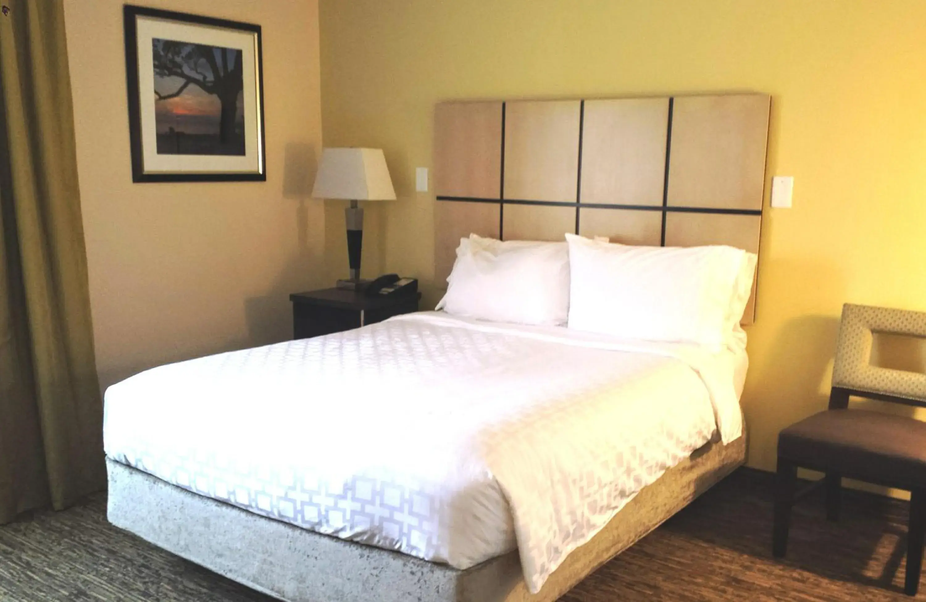 Photo of the whole room, Bed in Candlewood Suites Greenville NC by IHG Photo of the whole room, Bed in Candlewood Suites Greenville NC by IHG