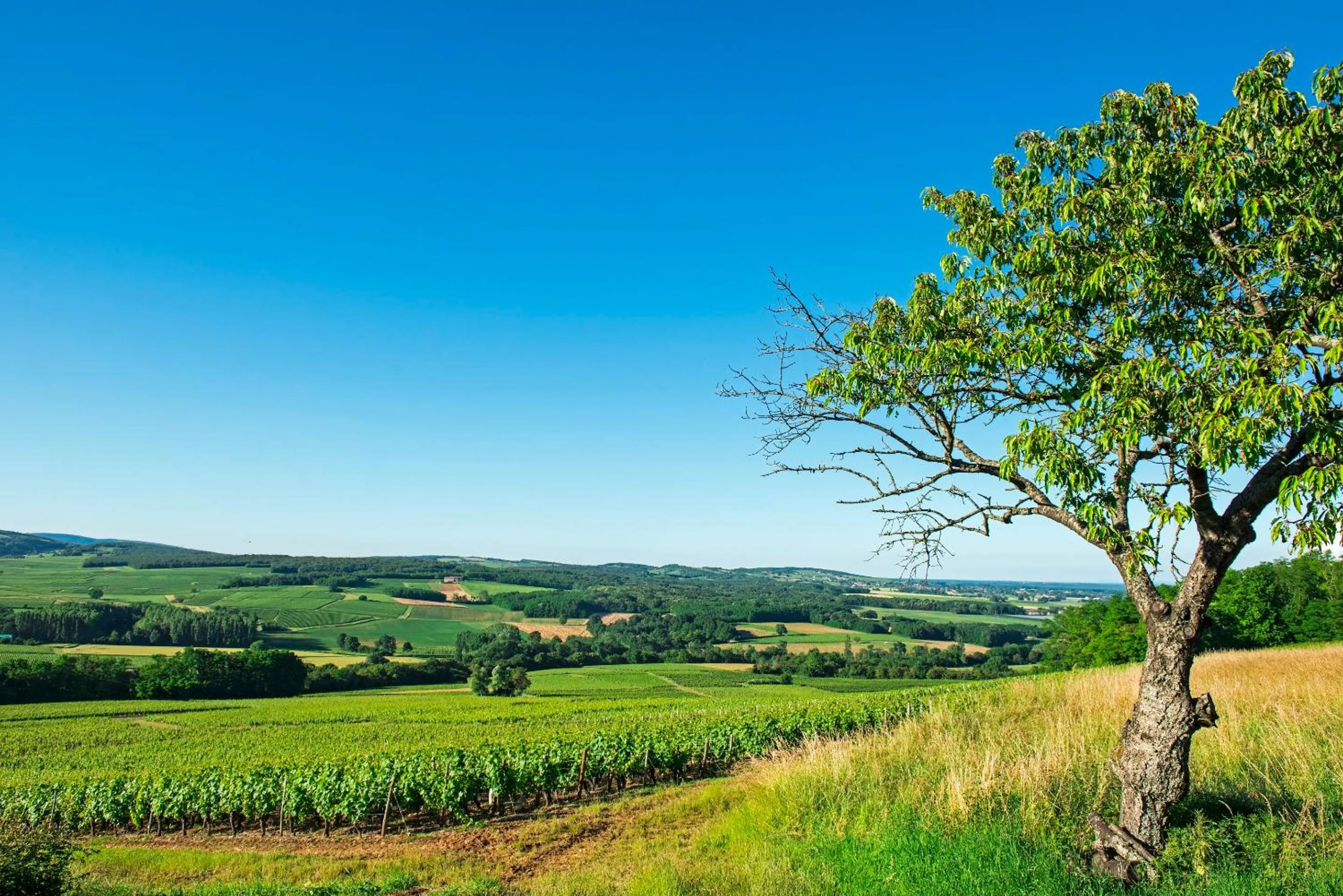 Day in Frédéric Carrion - Cuisine, Hôtel & Spa