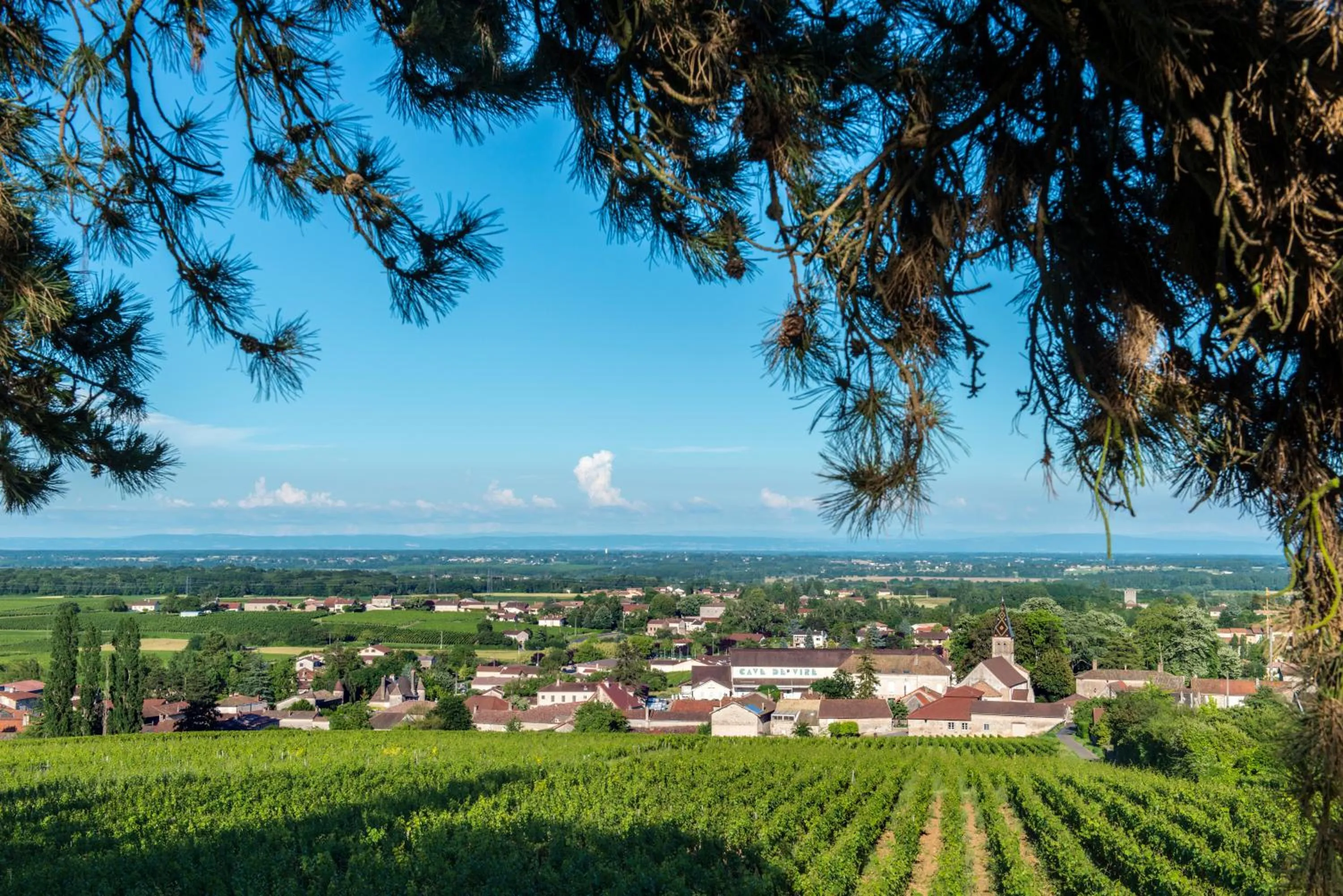 View (from property/room) in Frédéric Carrion - Cuisine, Hôtel & Spa