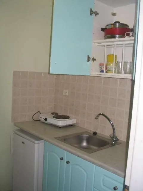 Kitchen or kitchenette in Vossos Hotel Apartments