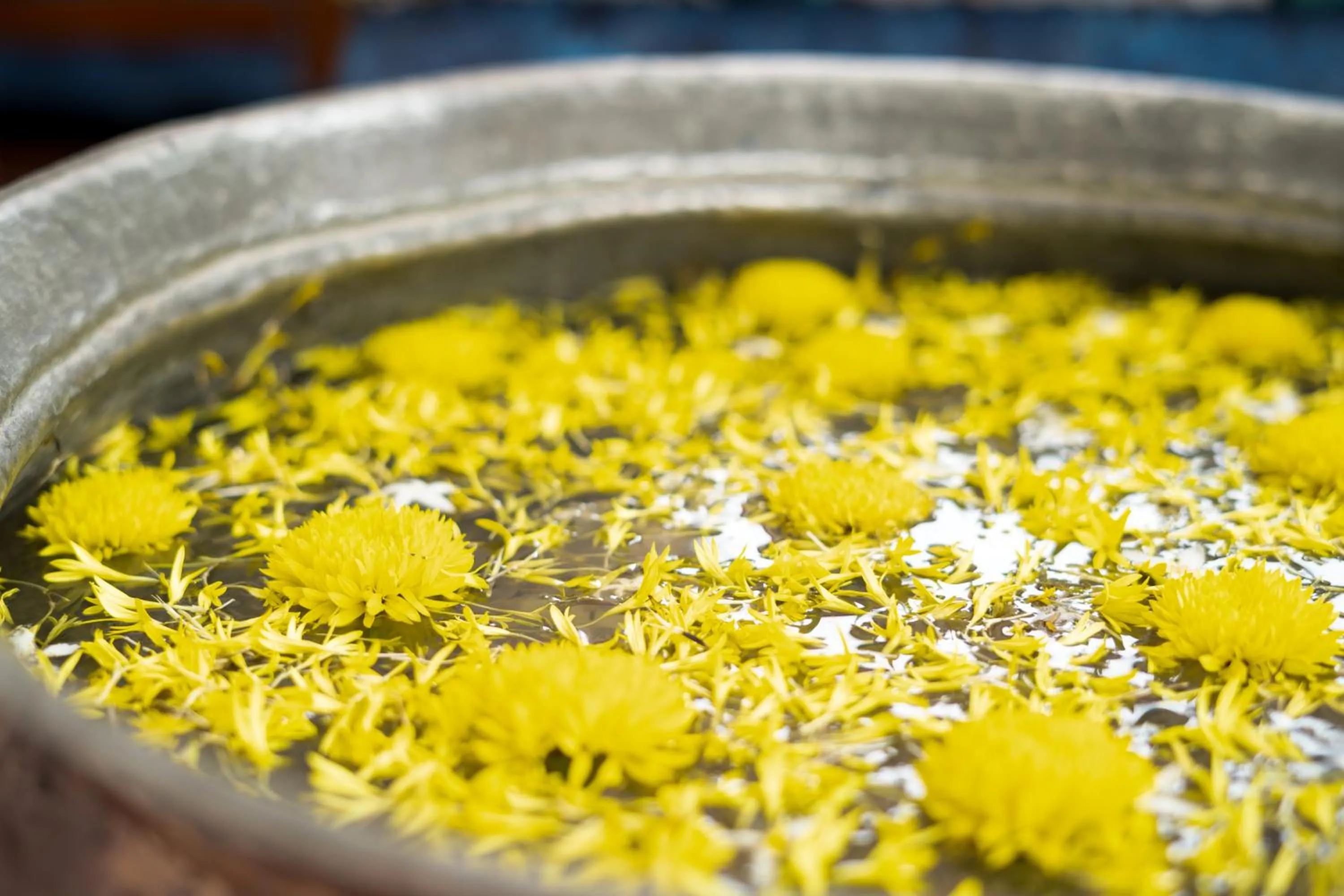 Floor plan in Shaan Coco Palms Beach Resort