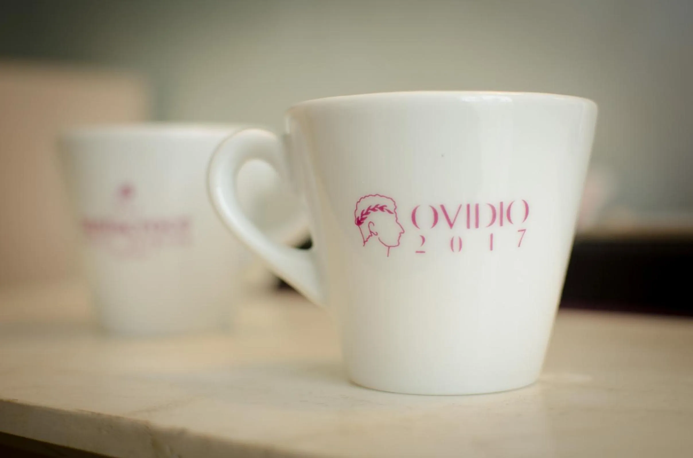 Decorative detail in Hotel Ovidius