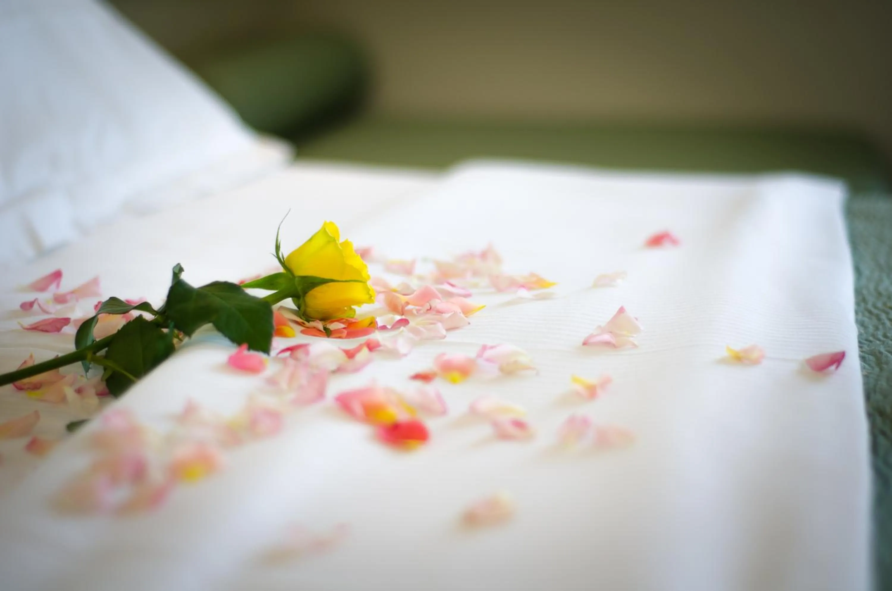 Spring, Bed in Hotel Ovidius