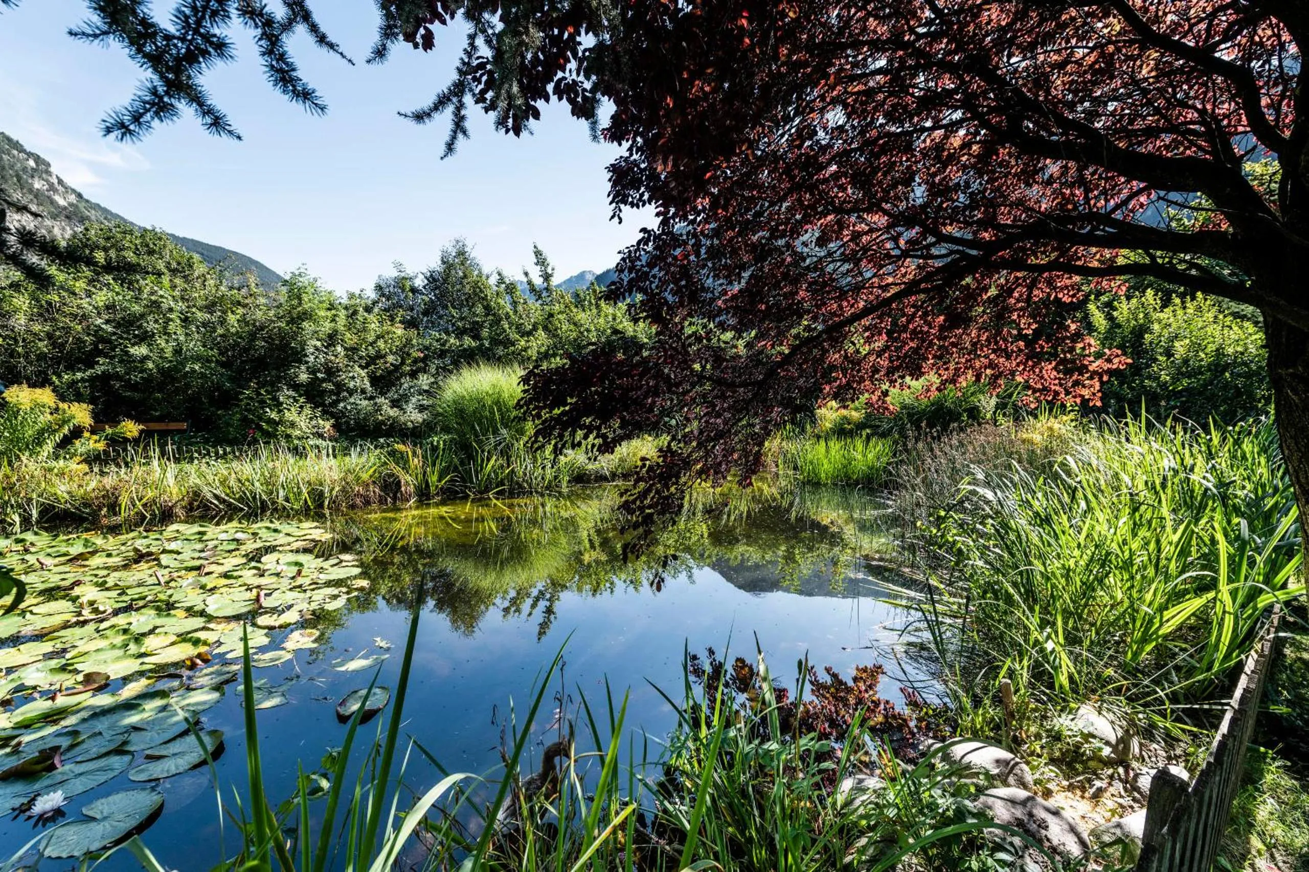 Garden in Romantik Hotel & Restaurant Stafler