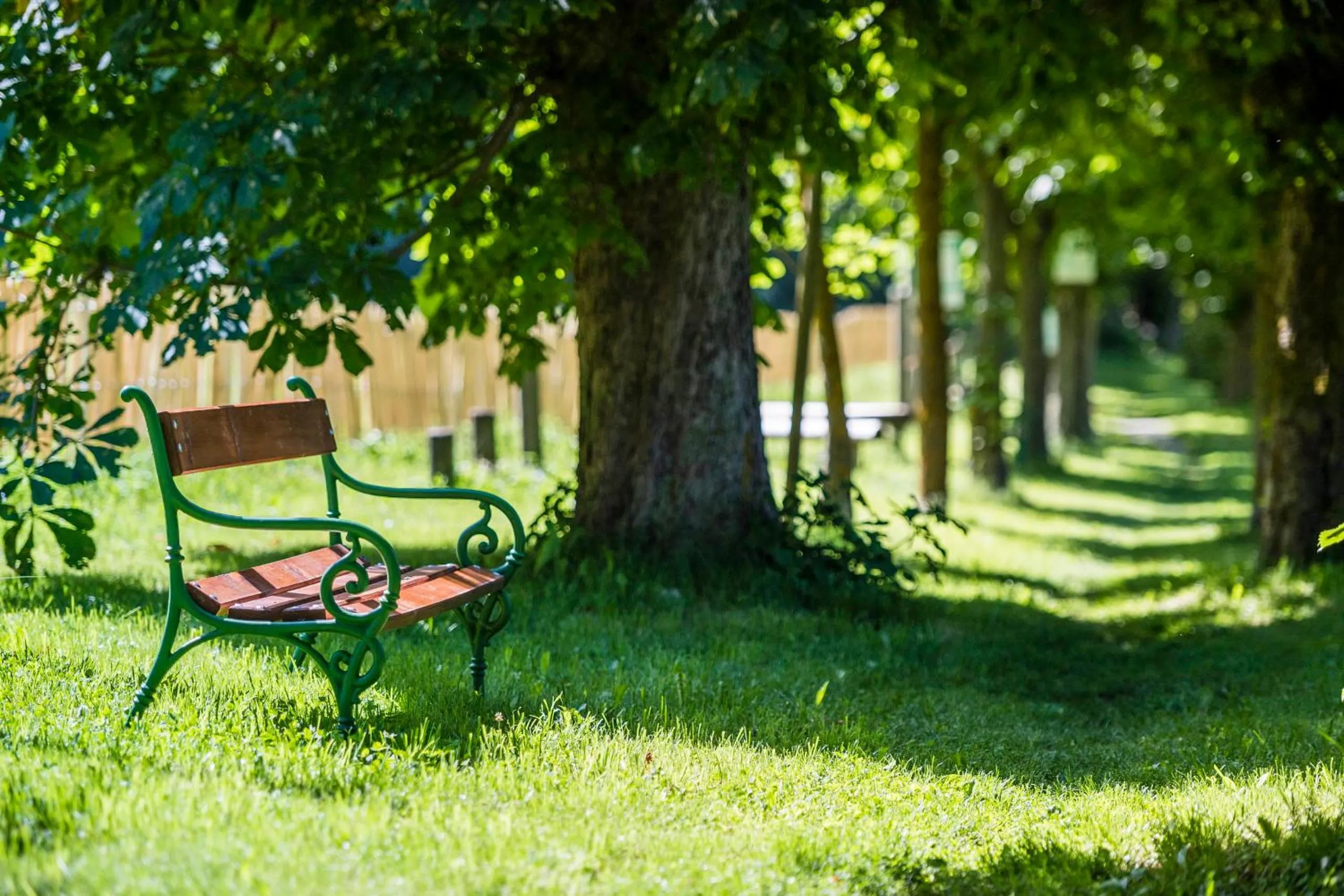 Garden in Romantik Hotel & Restaurant Stafler