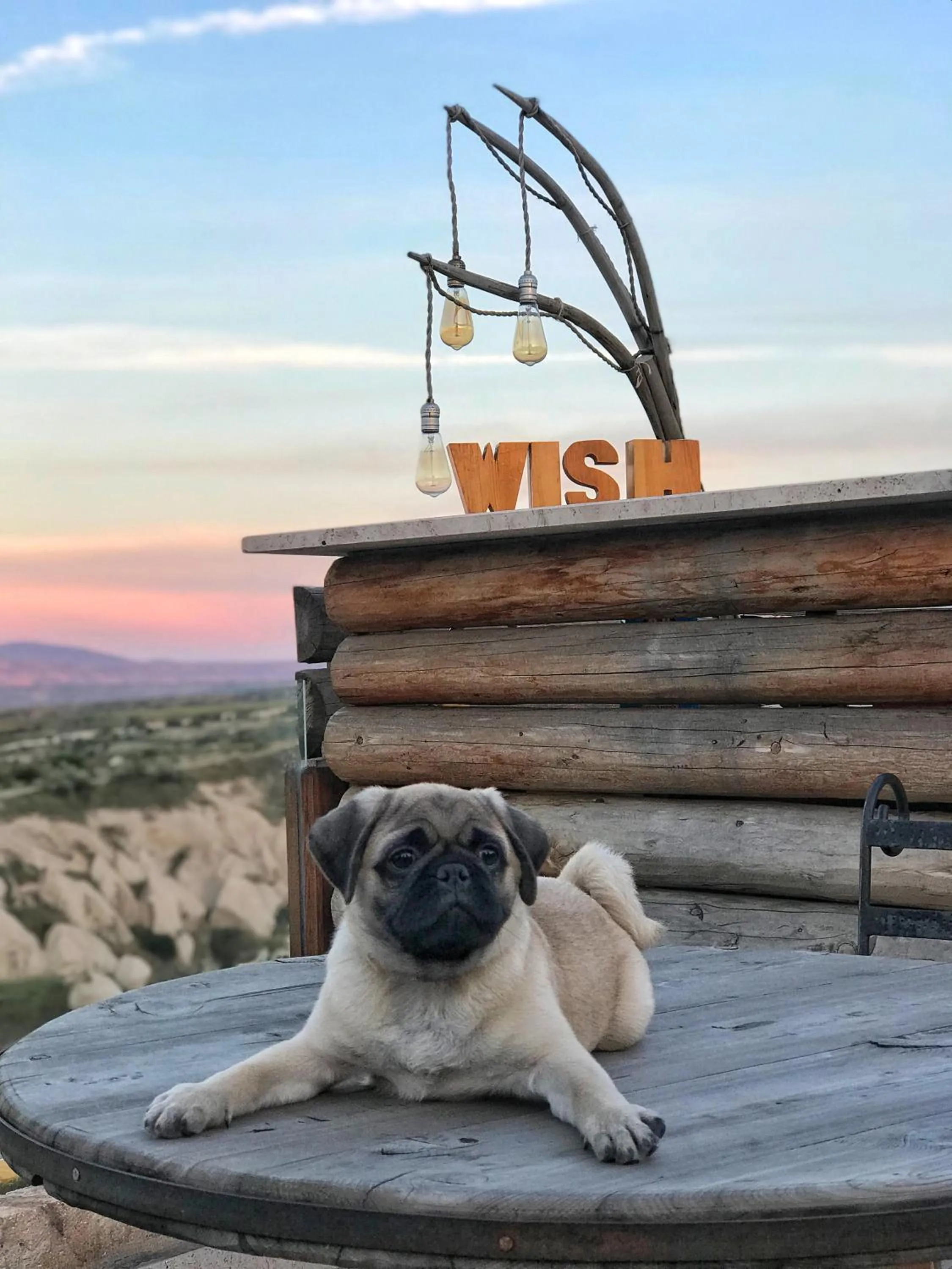 Pets in Wish Cappadocia Luxury Boutique Chain Hotels