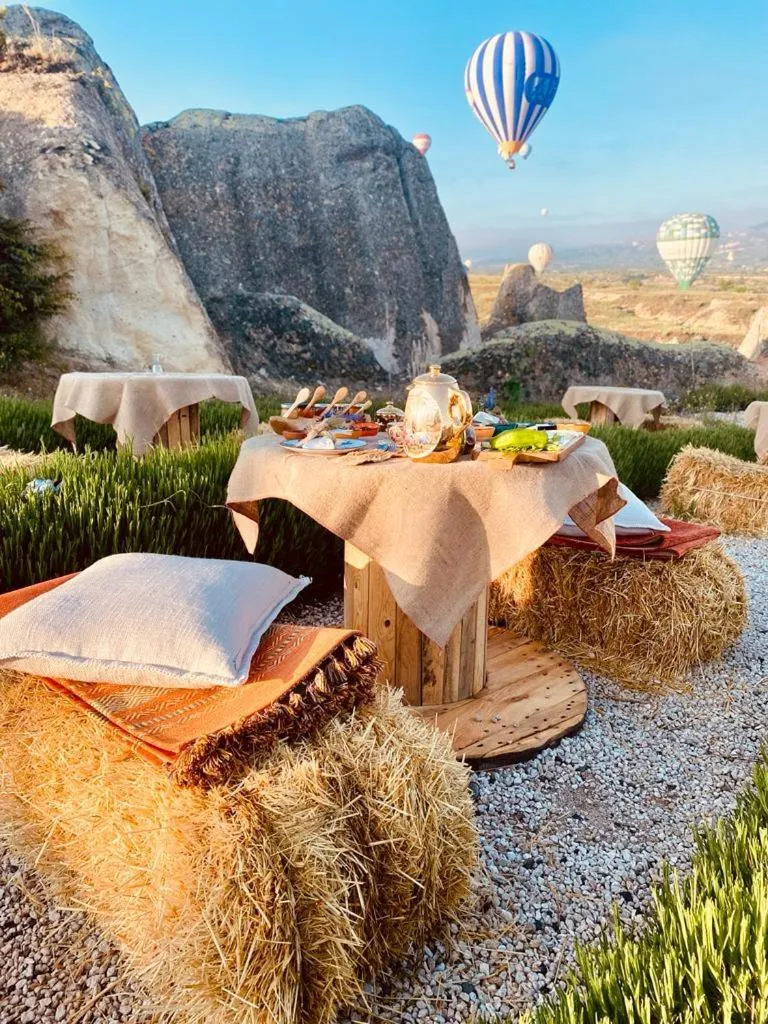 Activities in Wish Cappadocia Love