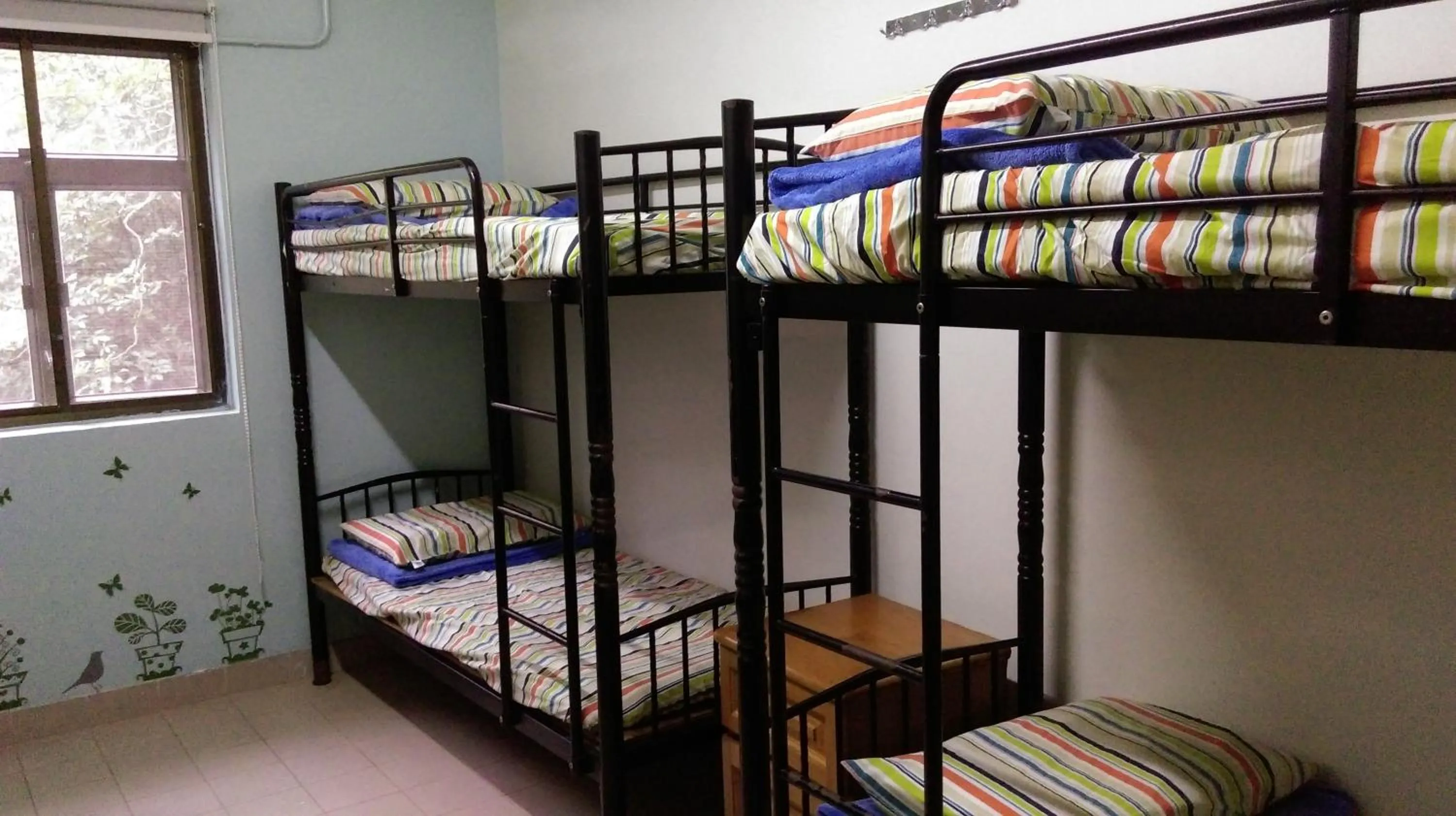 bunk bed, Bed in YHA Ngong Ping SG Davis Youth Hostel