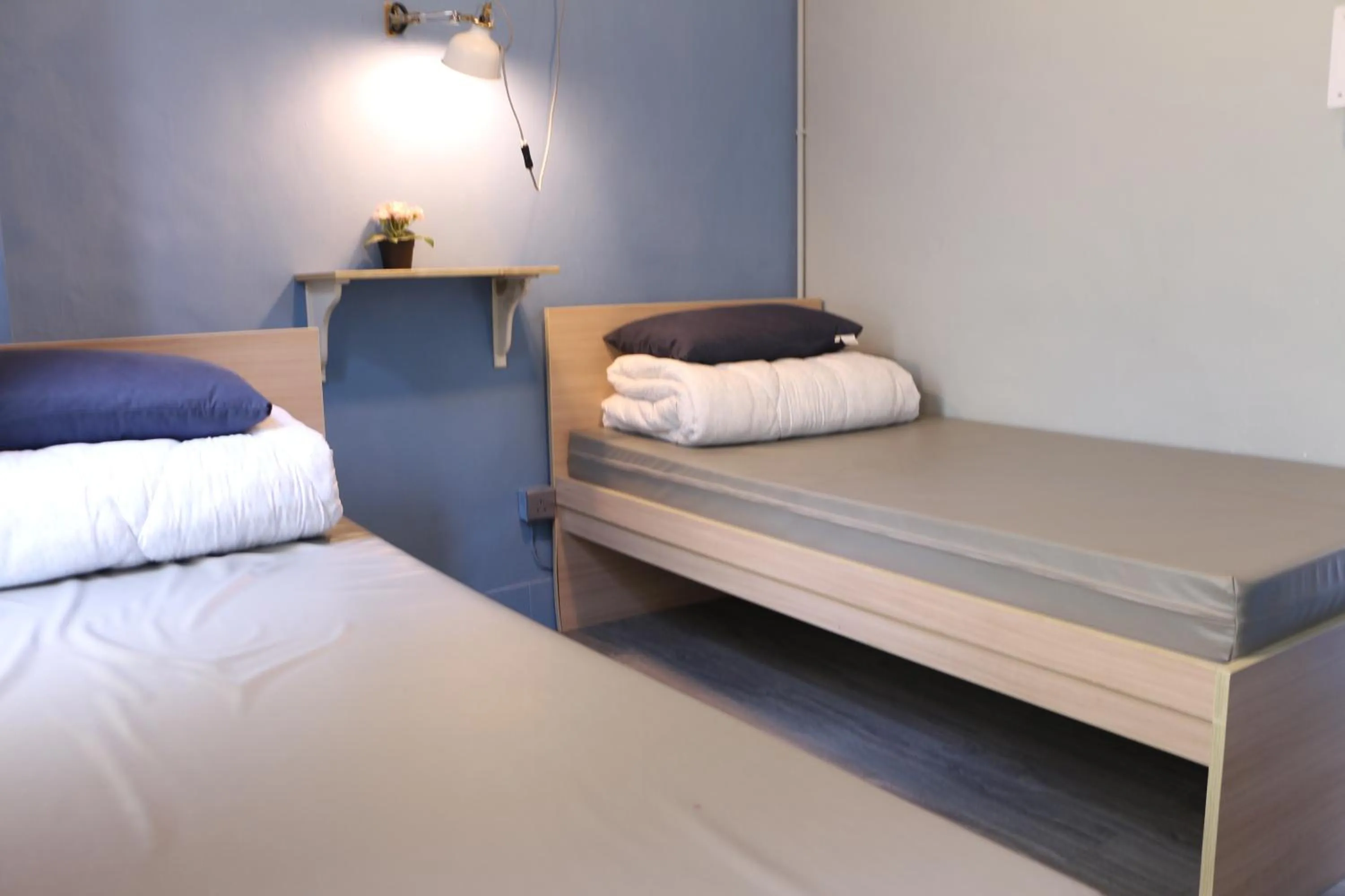 Bed in YHA Bradbury Jockey Club Youth Hostel