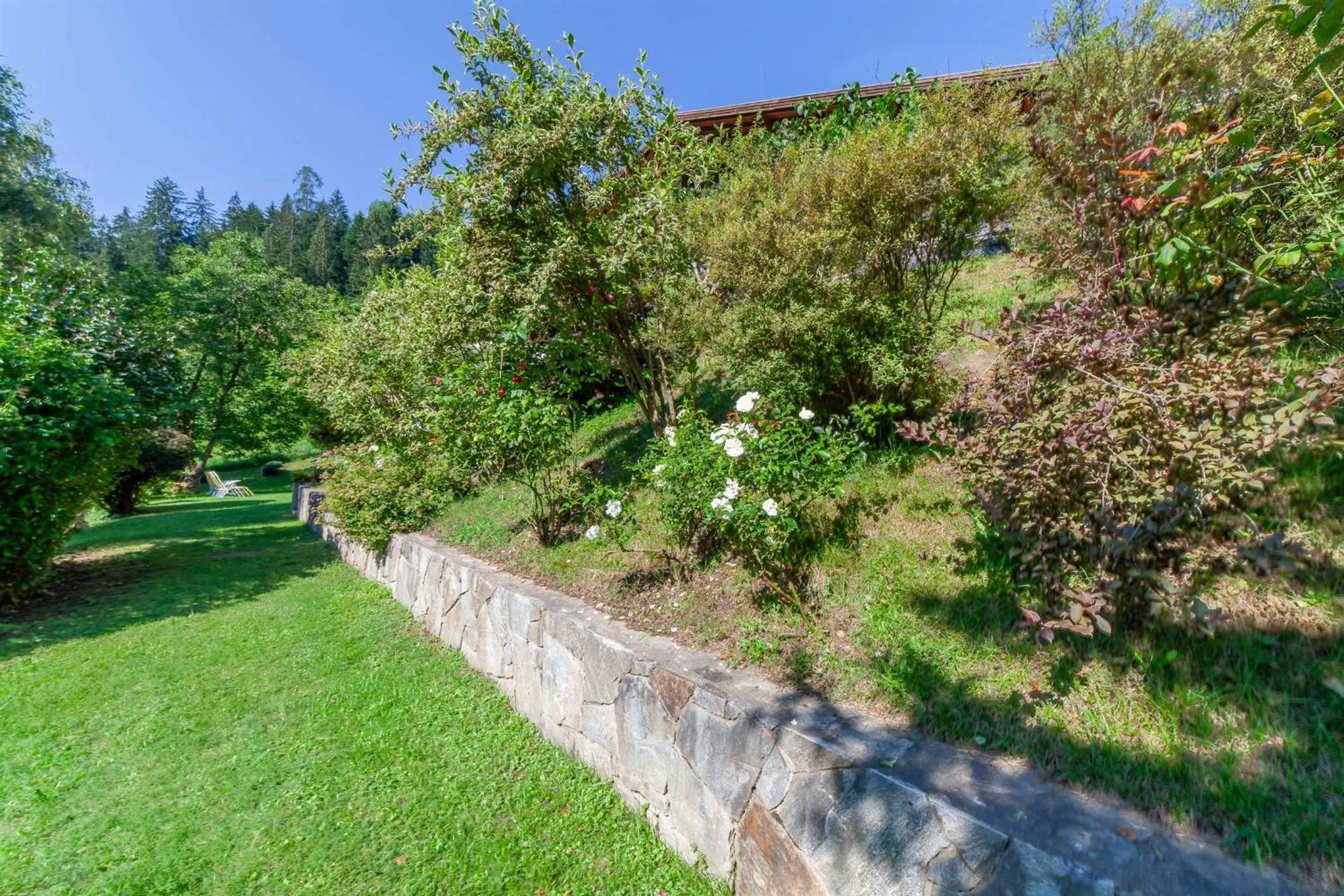 Natural landscape in Hotel St. Pankraz