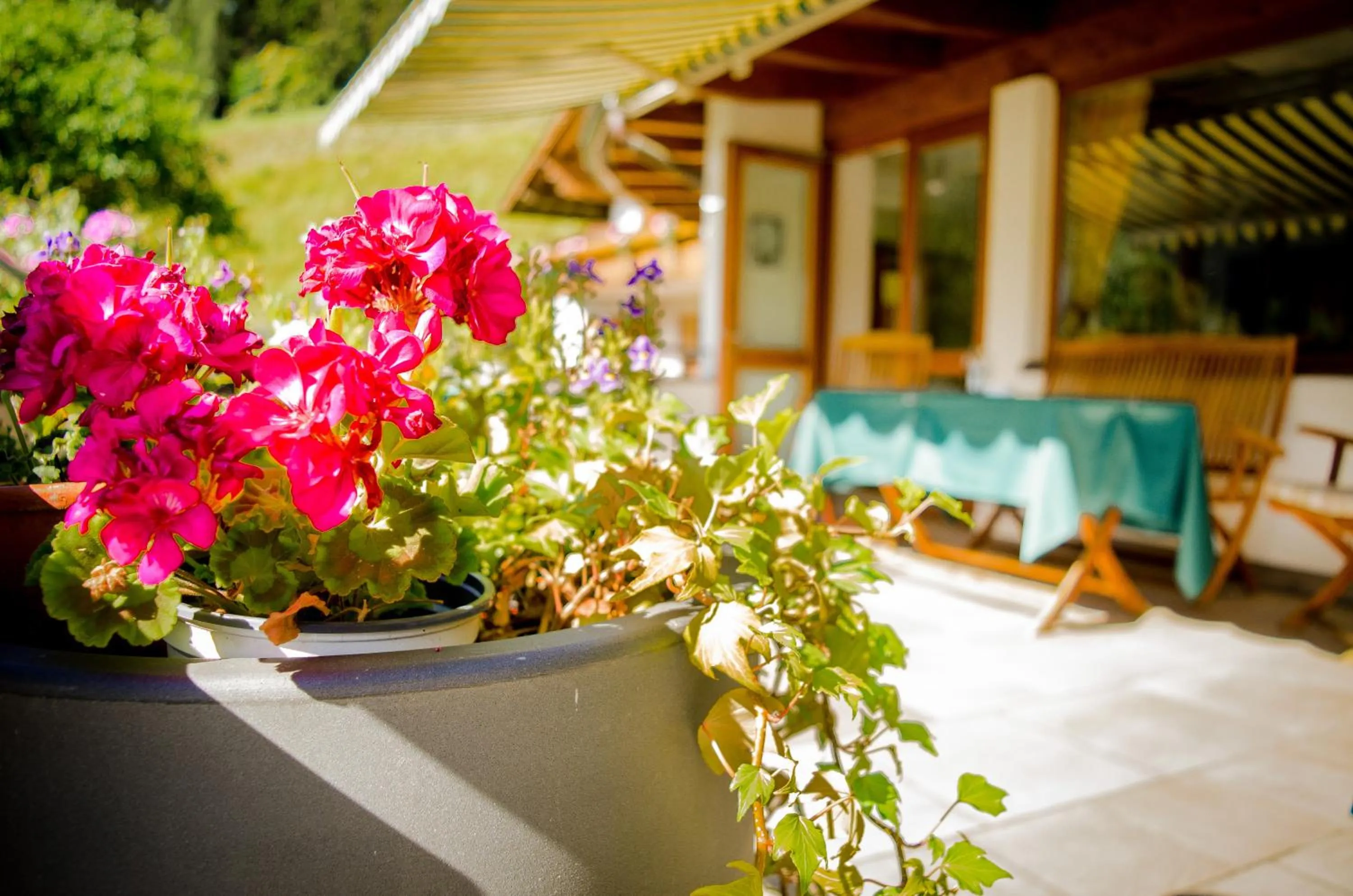 Restaurant/places to eat in Hotel St. Pankraz