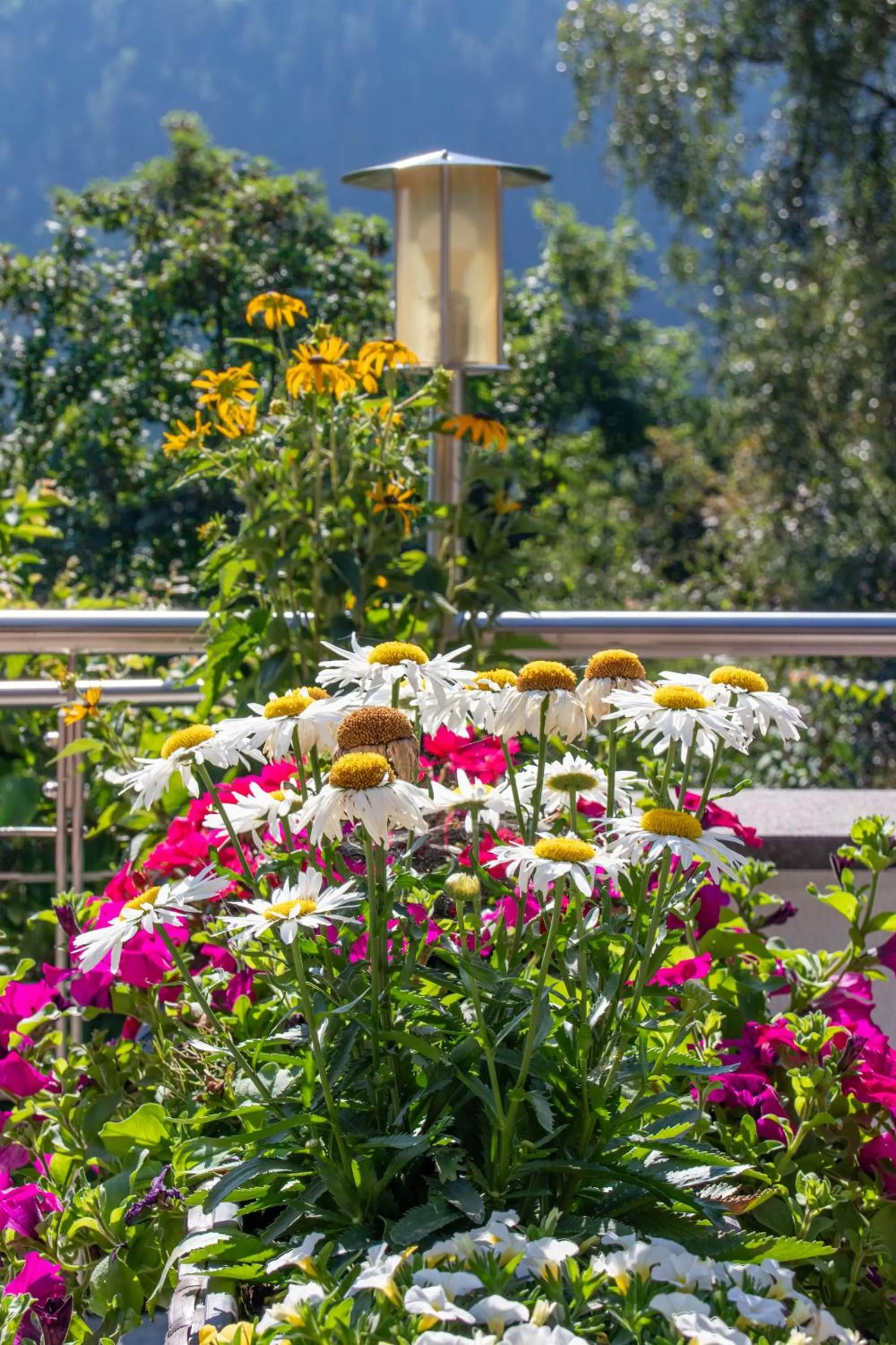 Balcony/Terrace in Hotel St. Pankraz