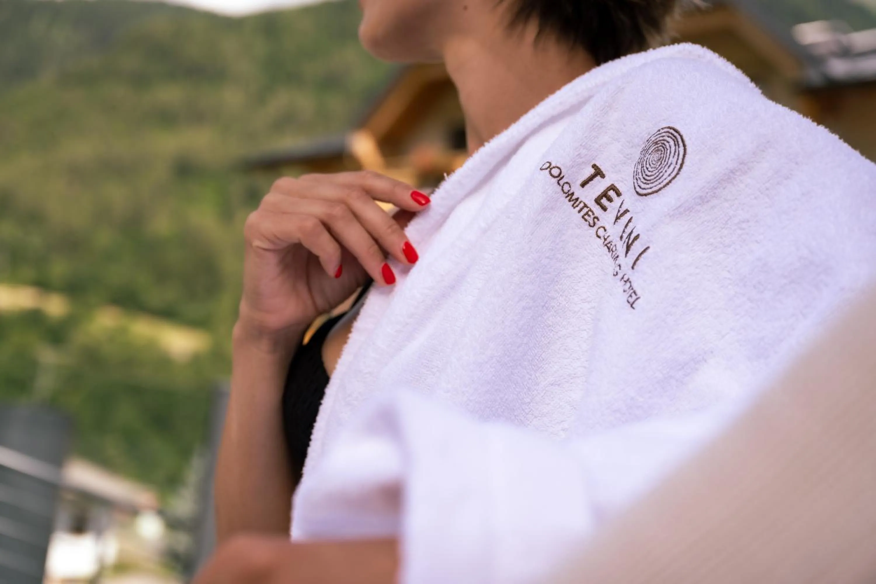 Decorative detail in Tevini Dolomites Charming Hotel