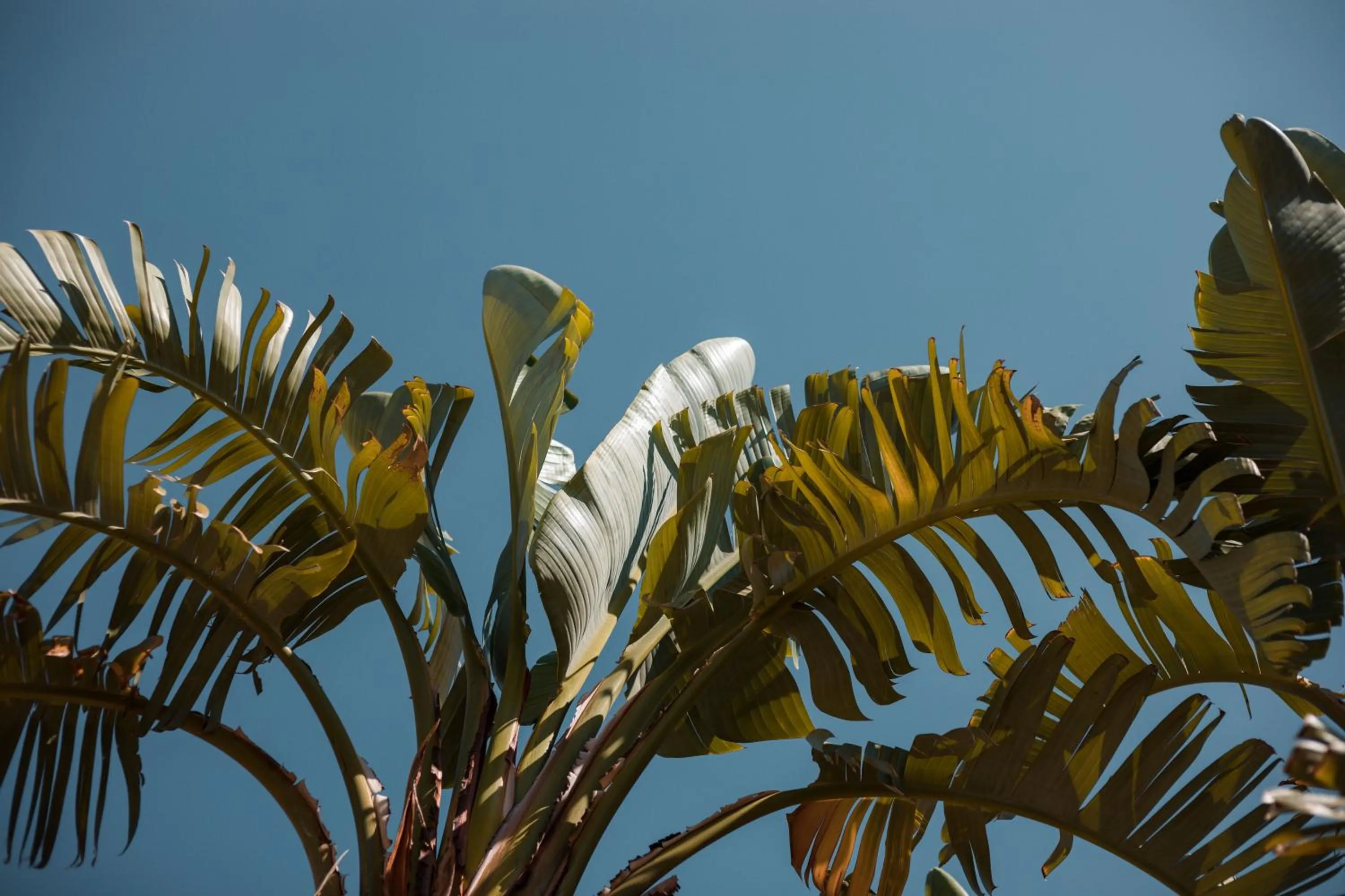 Day in Lambis Studios & Apartments