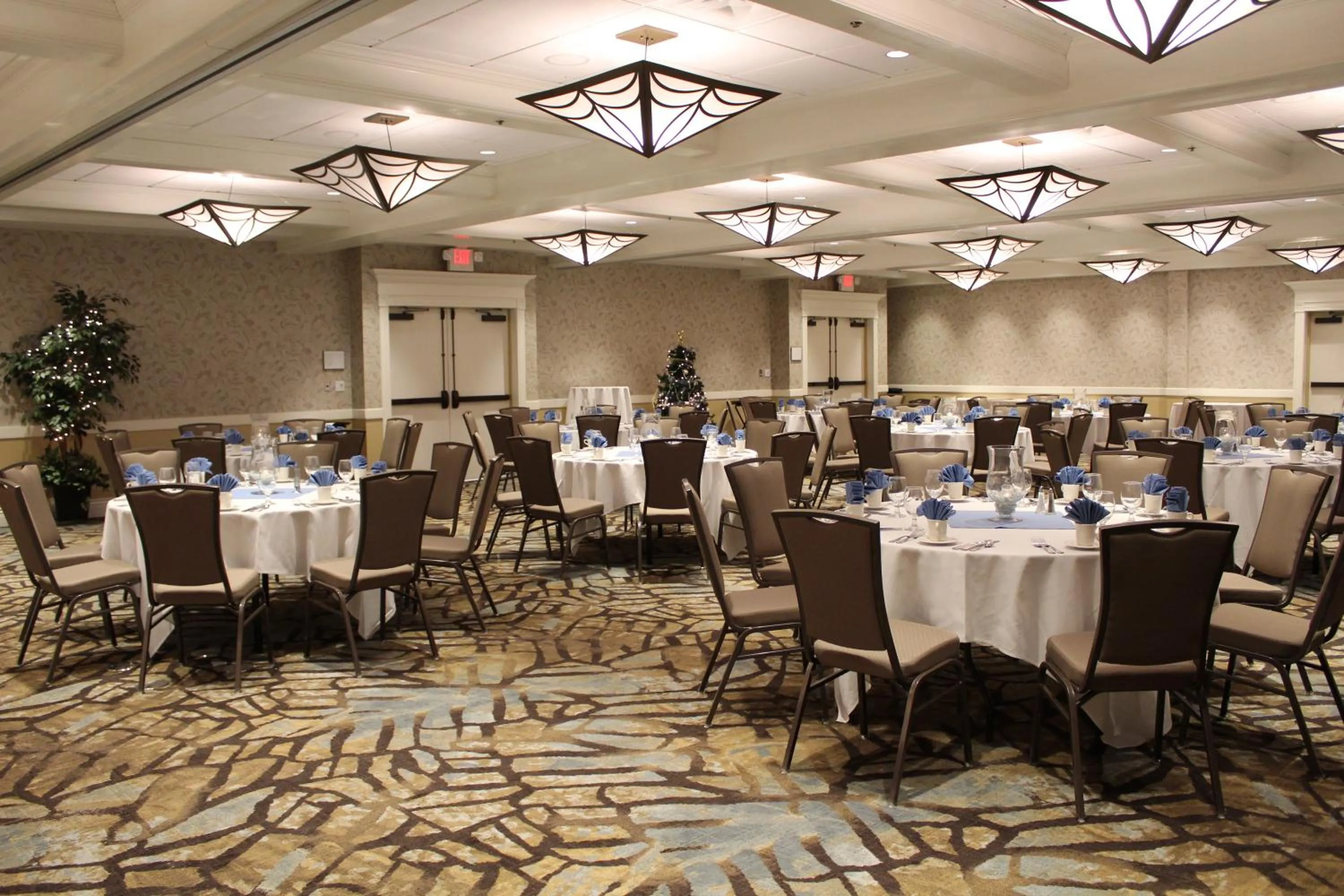 Banquet/Function facilities in Hotel Ithaca