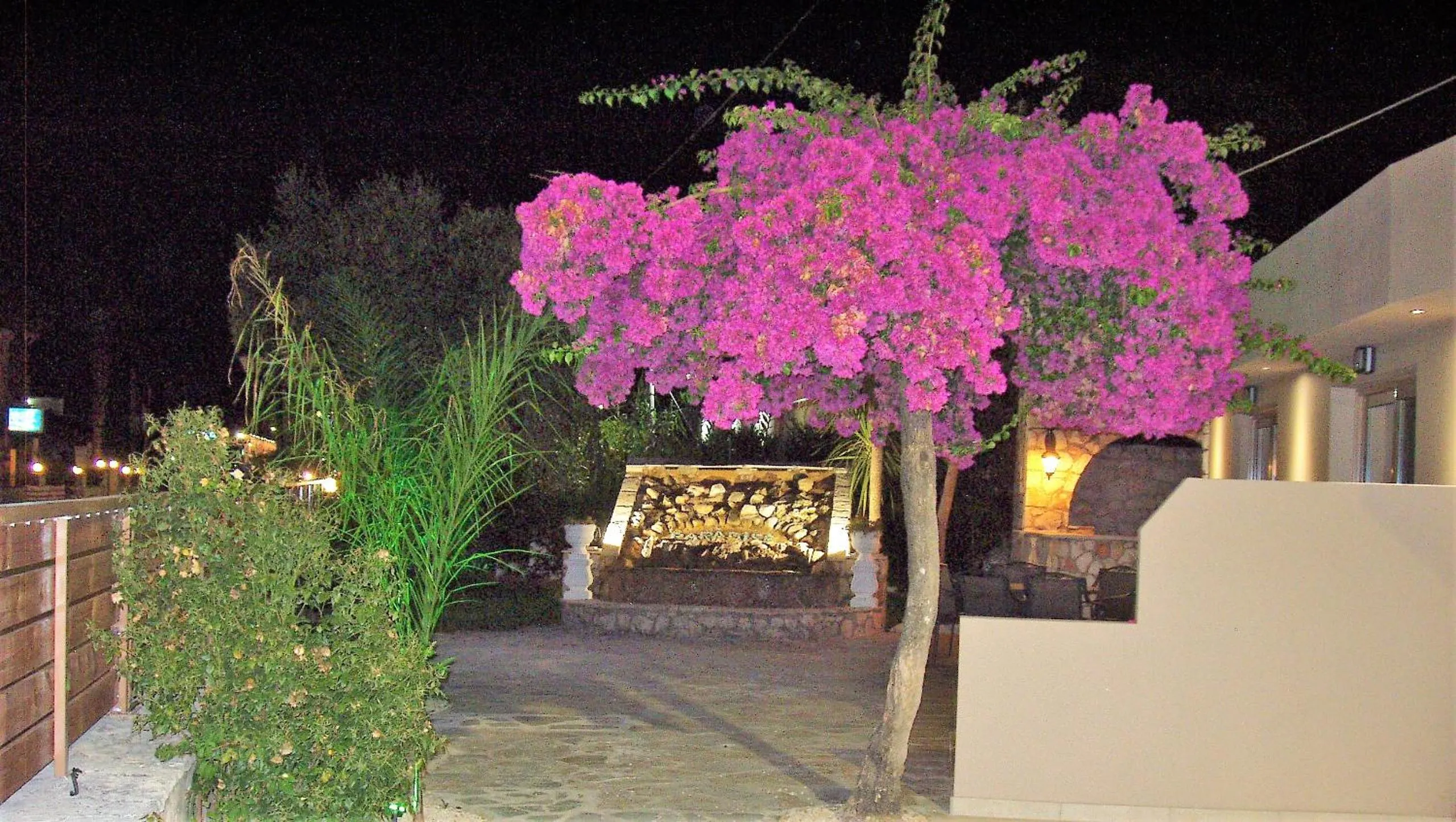 Garden view in Paradise Apartments