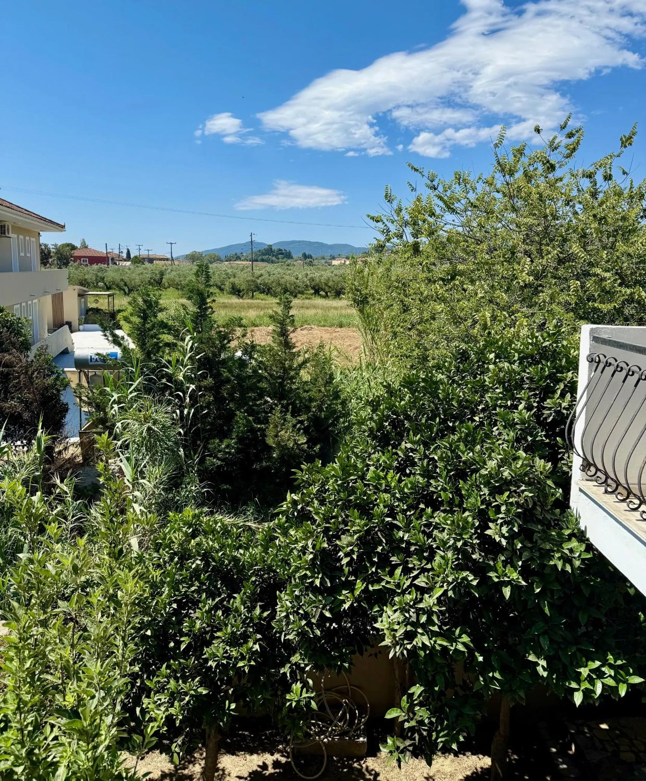 Property building in Paradise Apartments